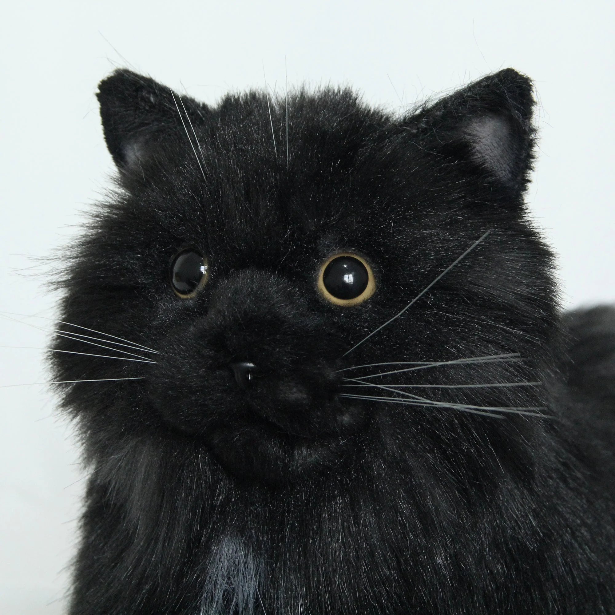 Fully Black Cat MADE-TO-ORDER - Image 3