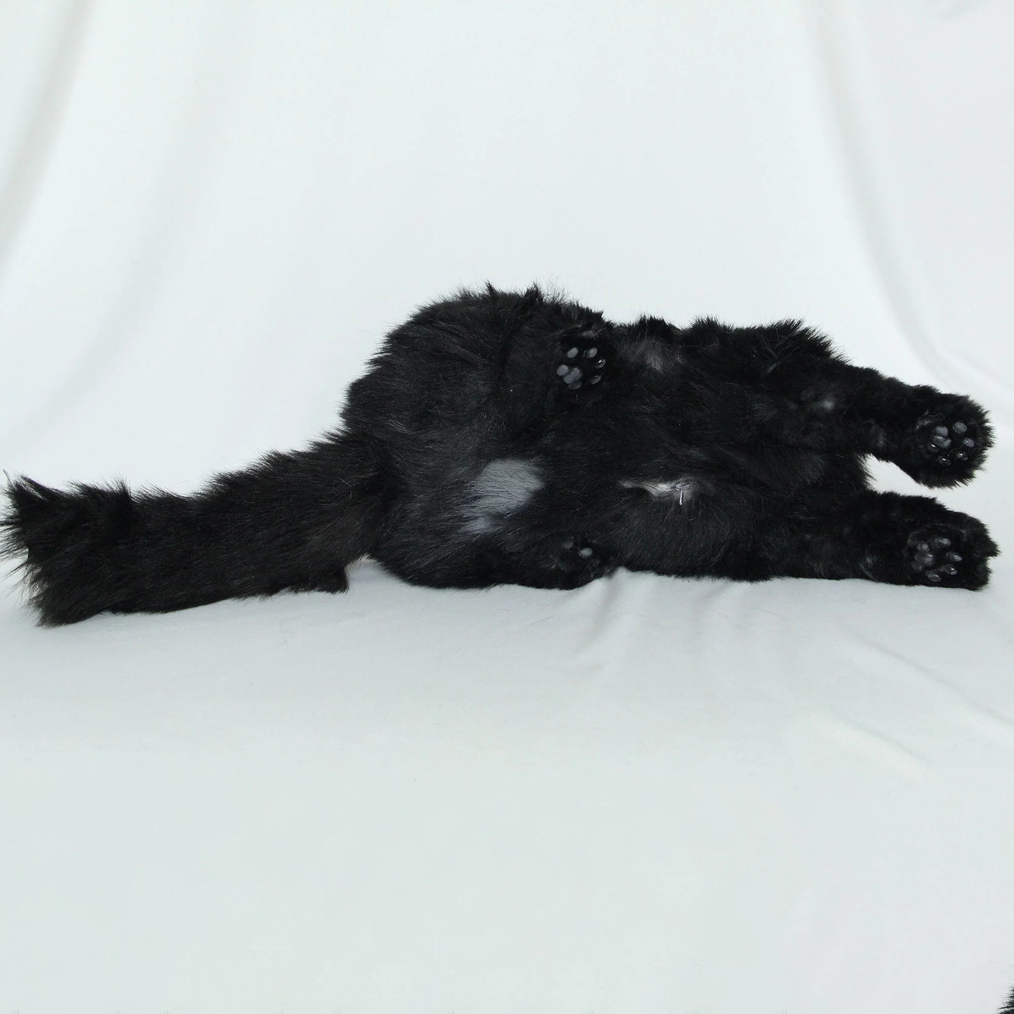 Fully Black Cat MADE-TO-ORDER - Image 5
