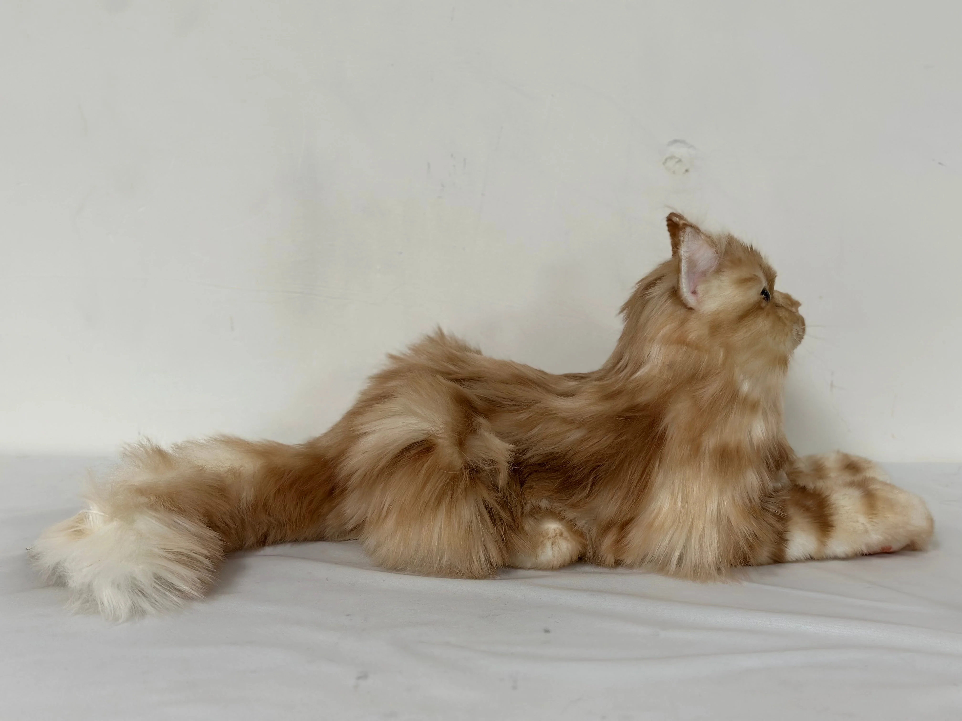 Ginger Cat Longhair Plush MADE-TO-ORDER - Image 2