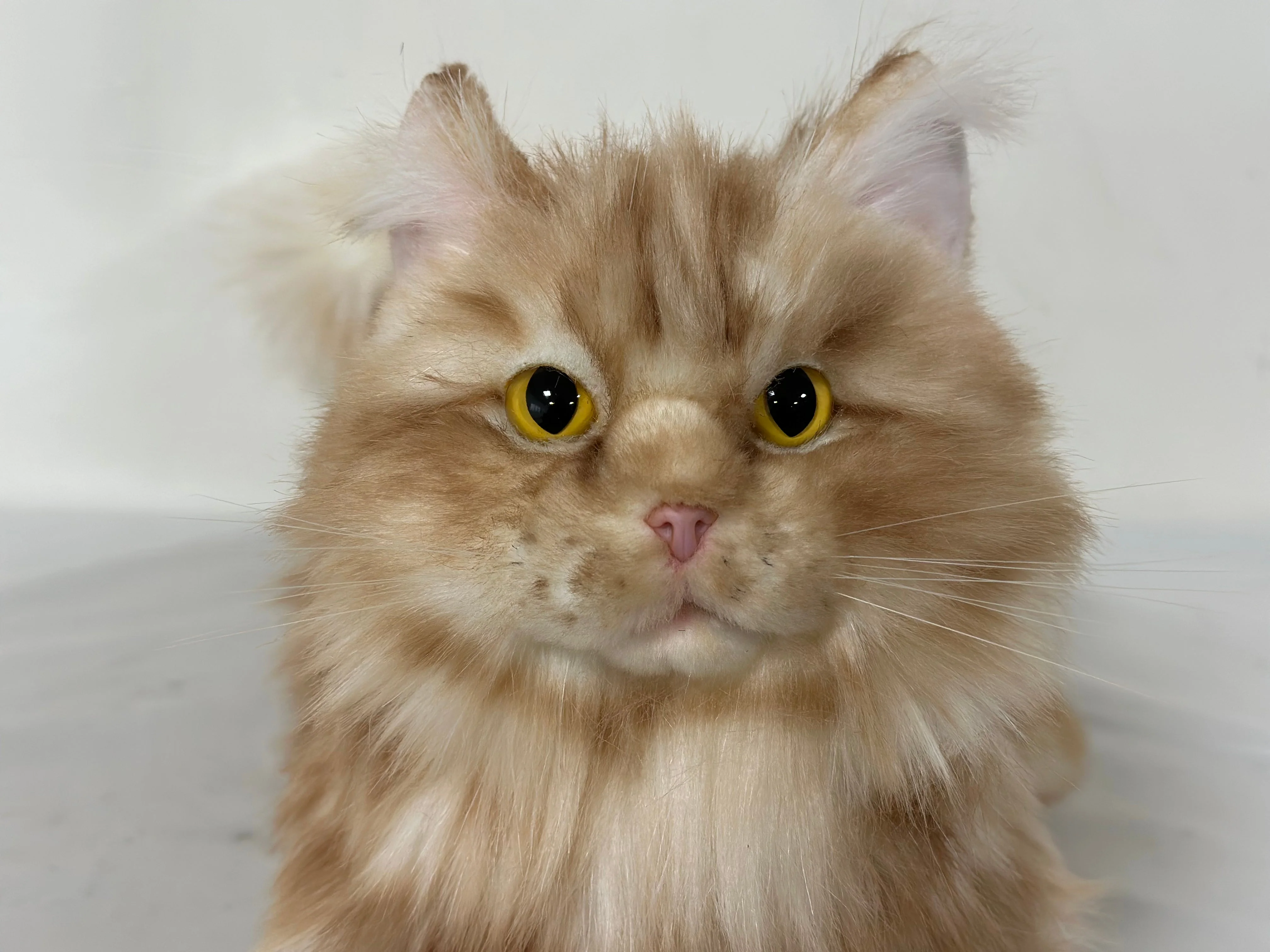 Ginger Cat Longhair Plush MADE-TO-ORDER - Image 3