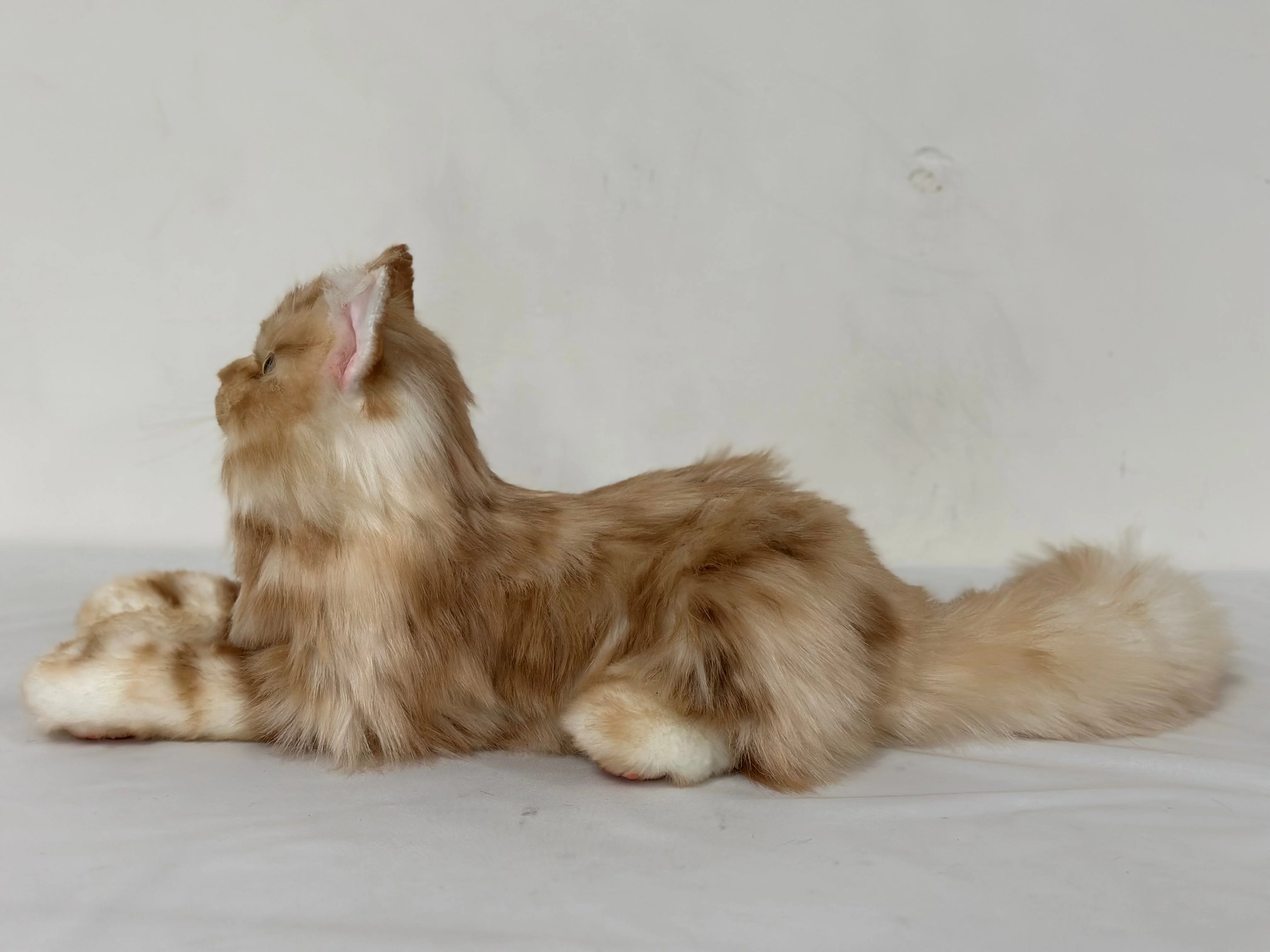 Ginger Cat Longhair Plush MADE-TO-ORDER - Image 4