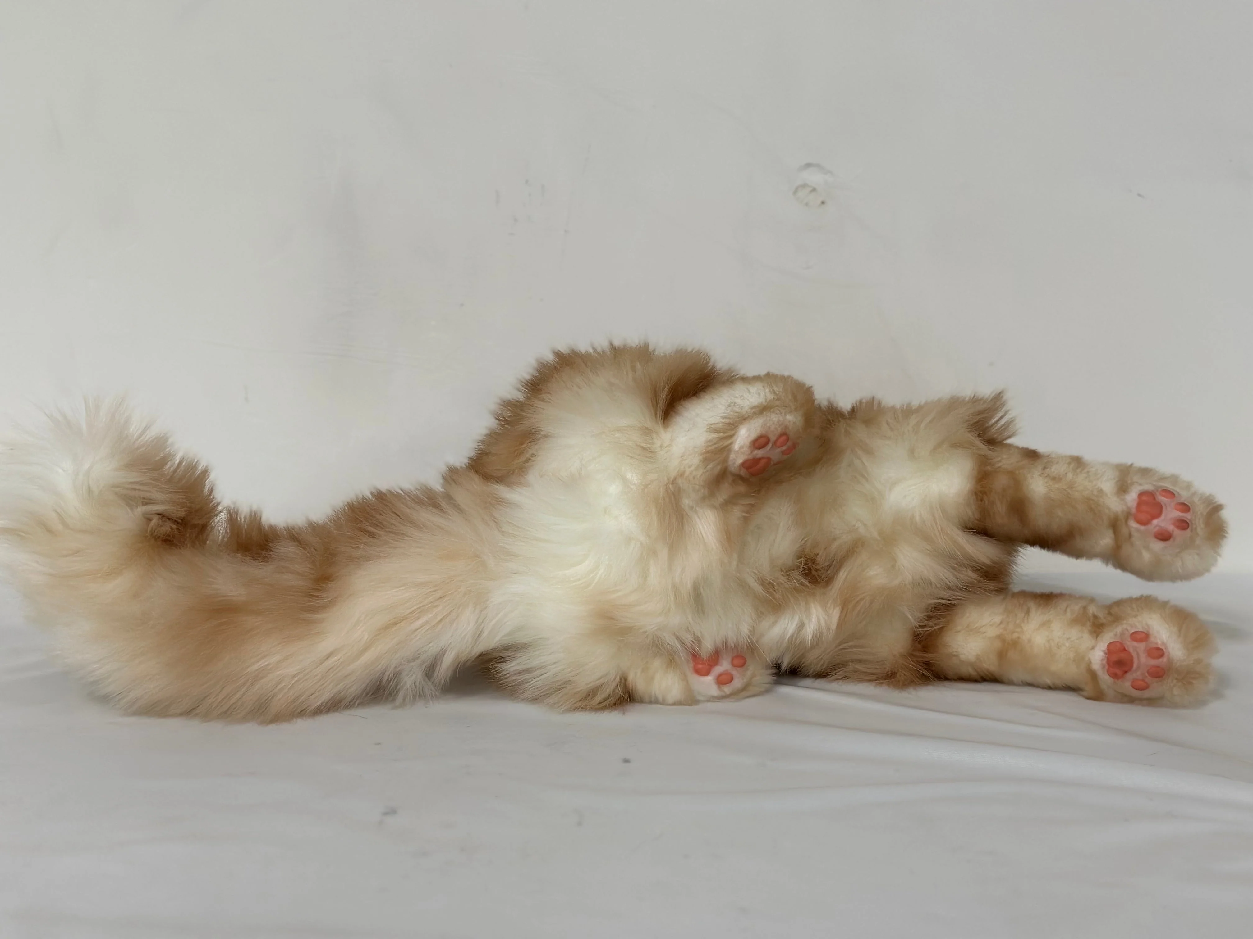 Ginger Cat Longhair Plush MADE-TO-ORDER - Image 6
