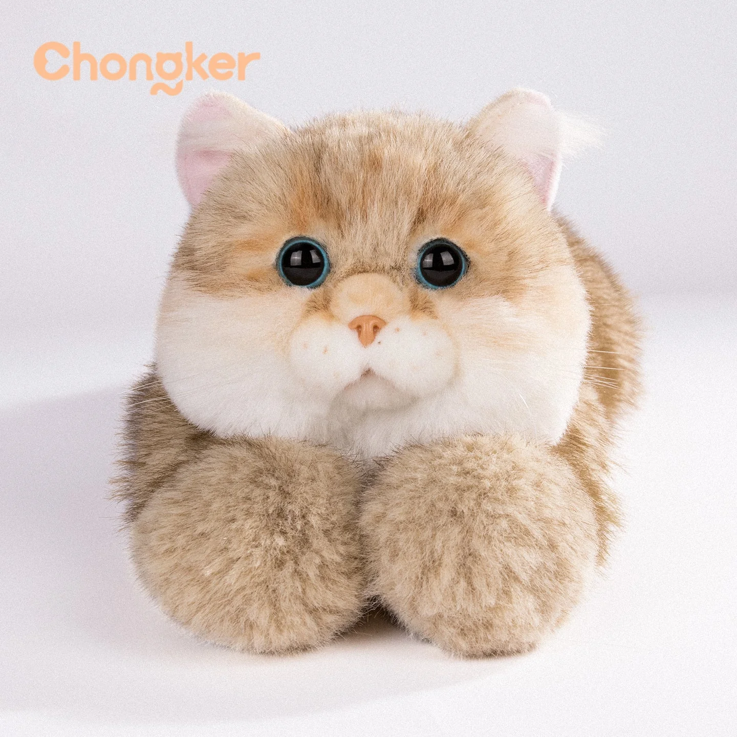 Golden British Shorthair Cat Plush - Image 3