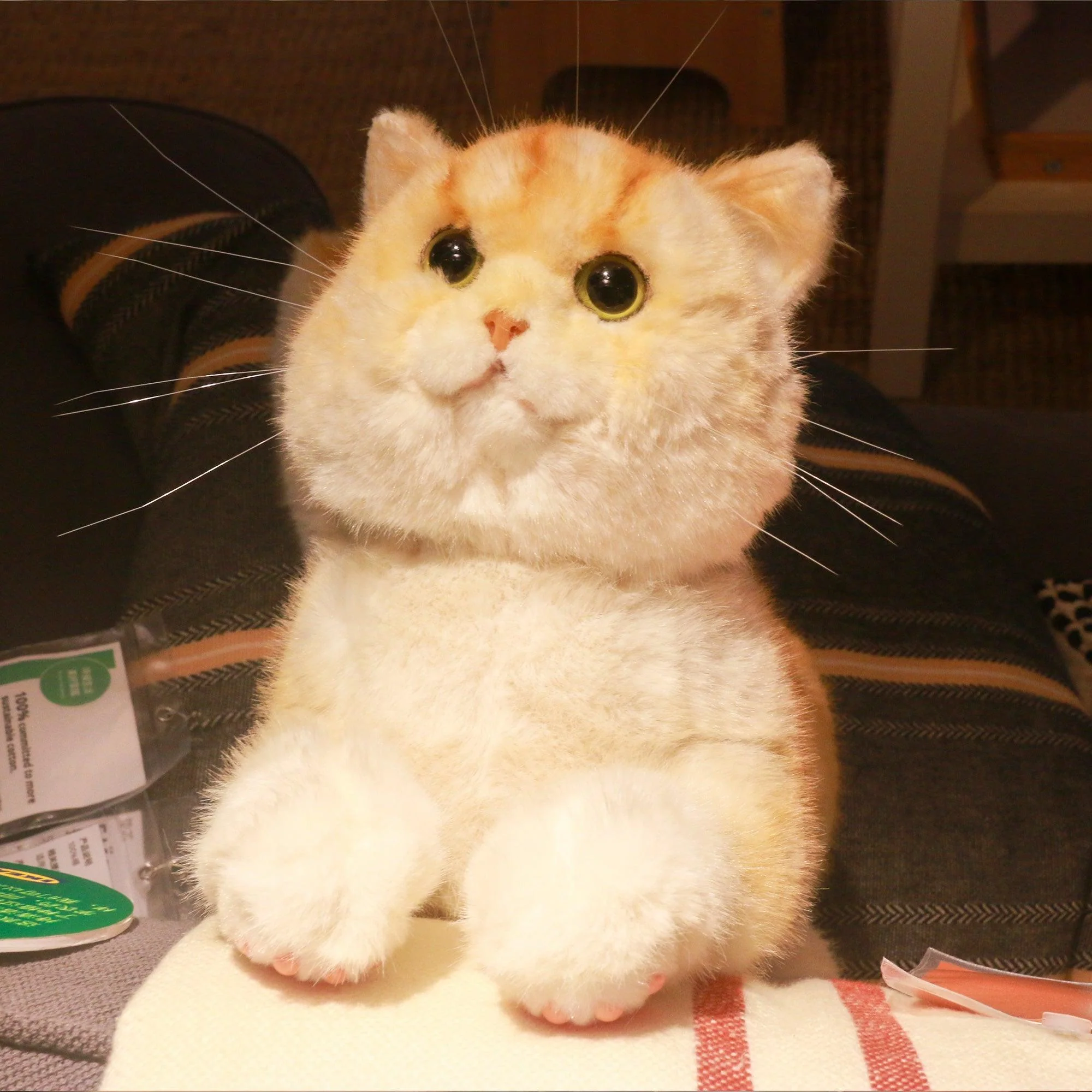 Golden Brtitish Short Hair Cat Plush – Weighted Emotional Support Toy Gift - Image 3