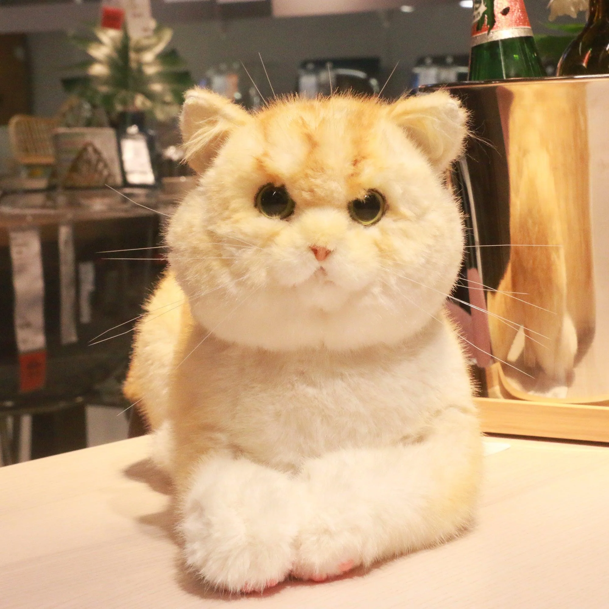 Golden Brtitish Short Hair Cat Plush – Weighted Emotional Support Toy Gift - Image 5