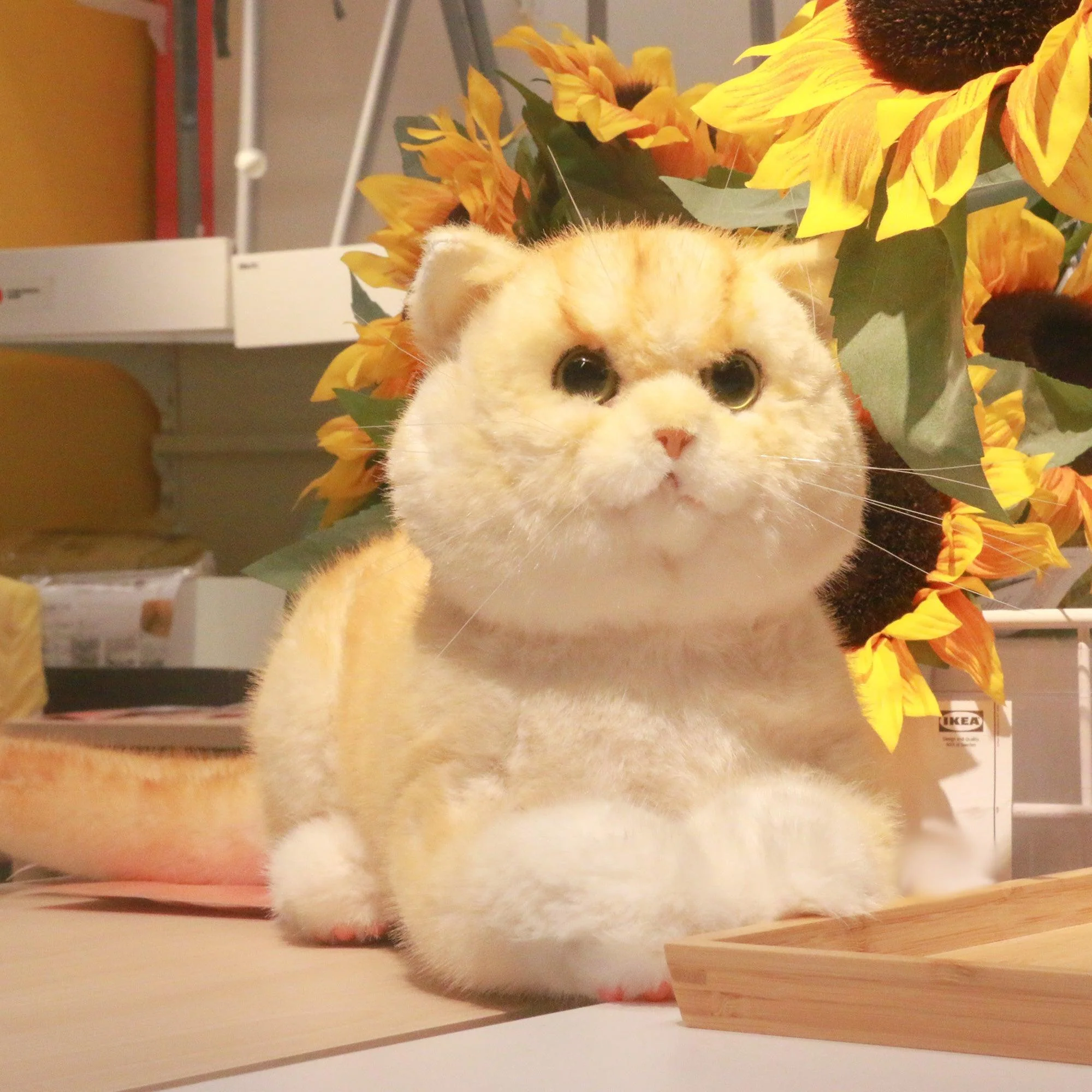 Golden Brtitish Short Hair Cat Plush – Weighted Emotional Support Toy Gift - Image 6