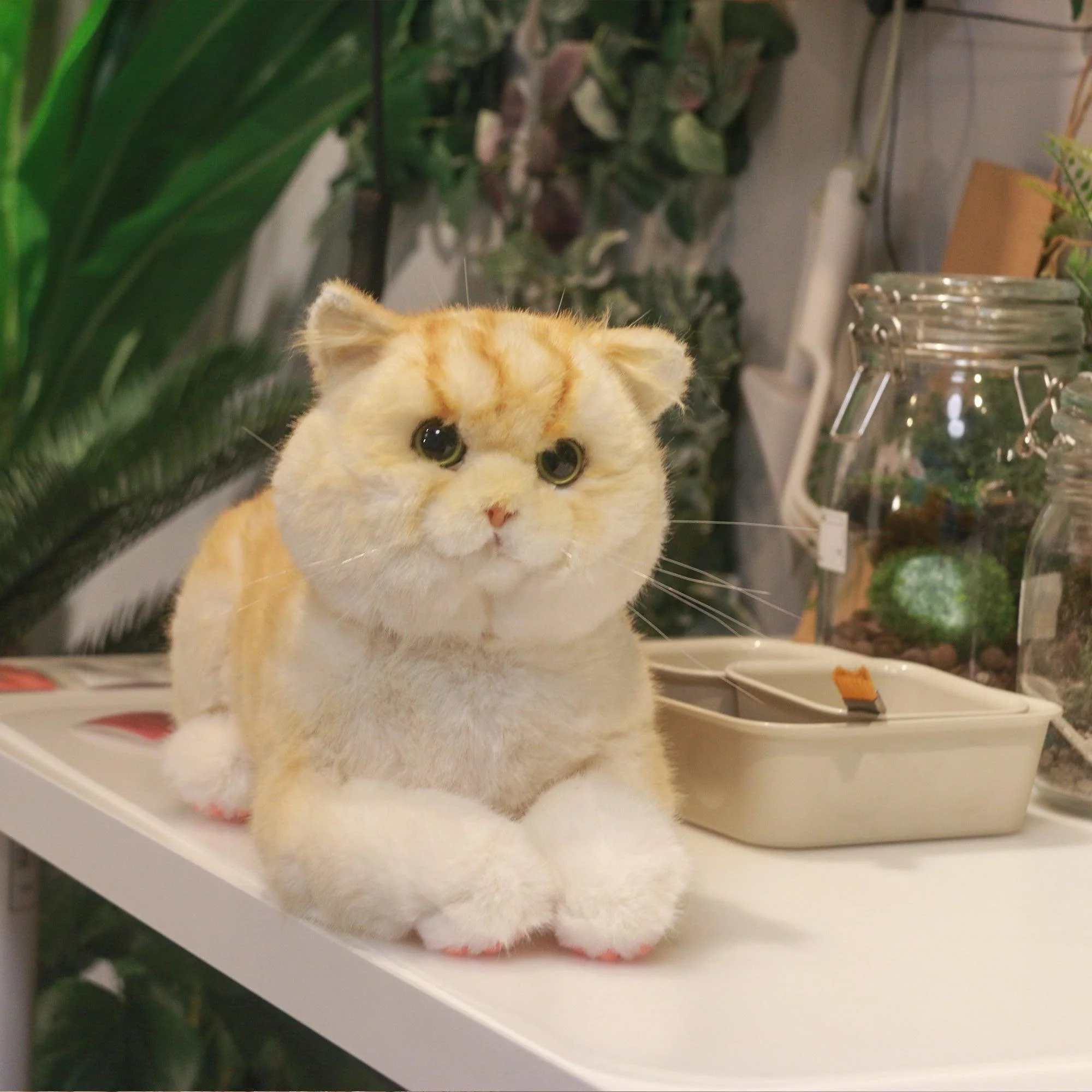Golden Brtitish Short Hair Cat Plush – Weighted Emotional Support Toy Gift - Image 7