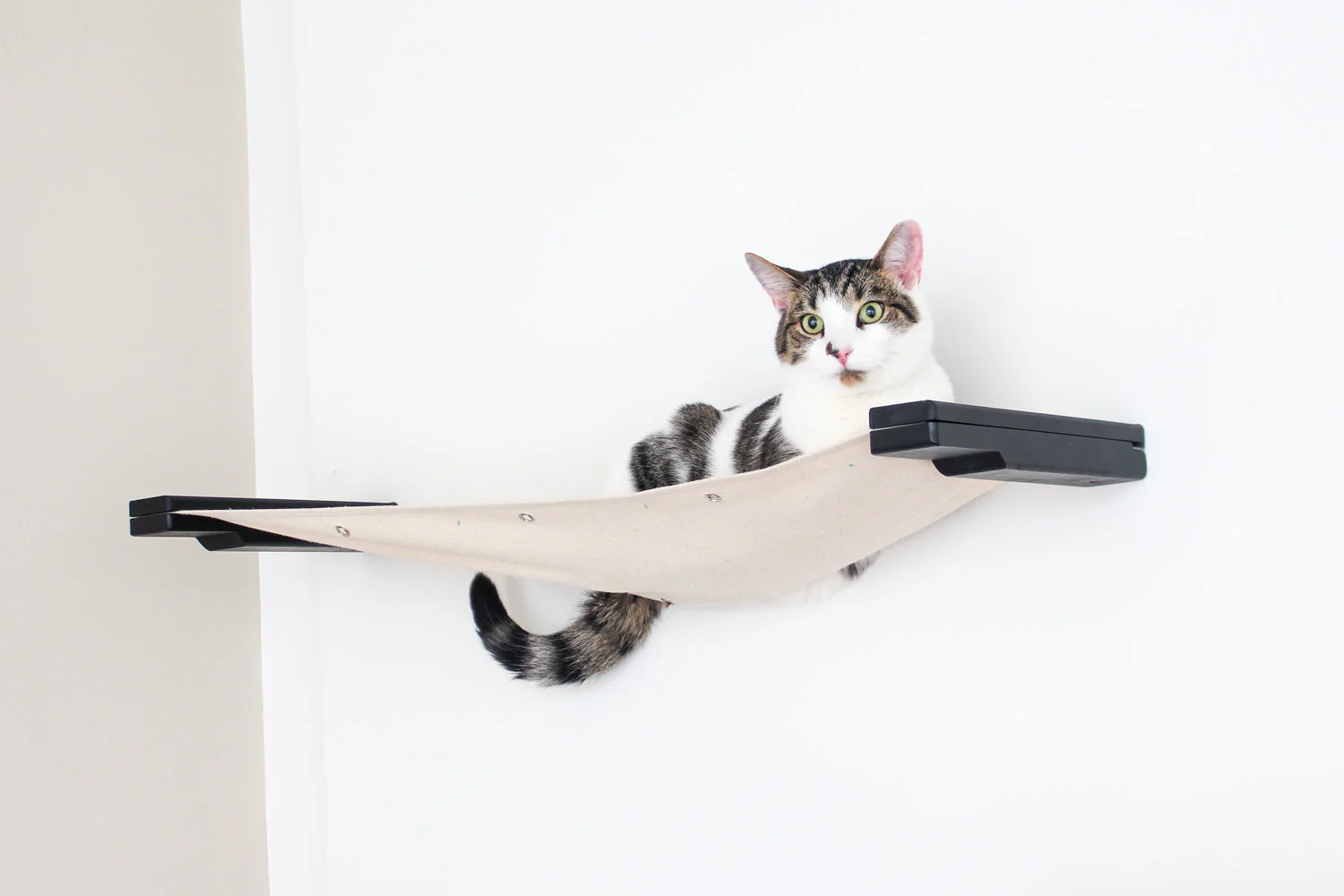 Hanging Cat Bed Hammock - Image 13