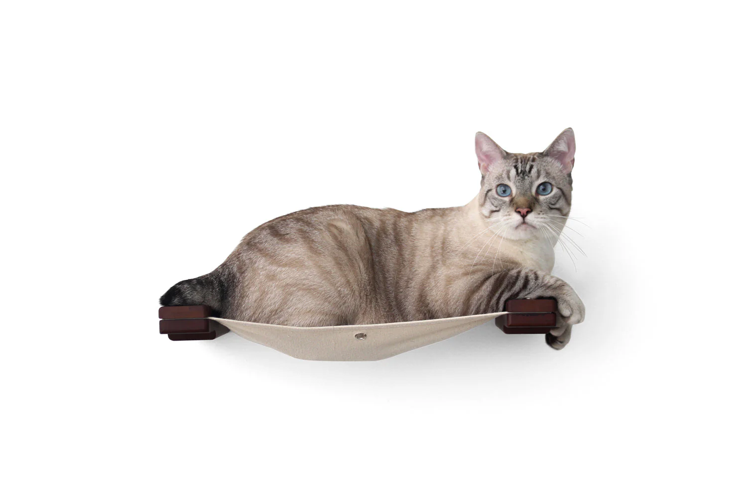 Hanging Cat Bed Hammock - Image 17