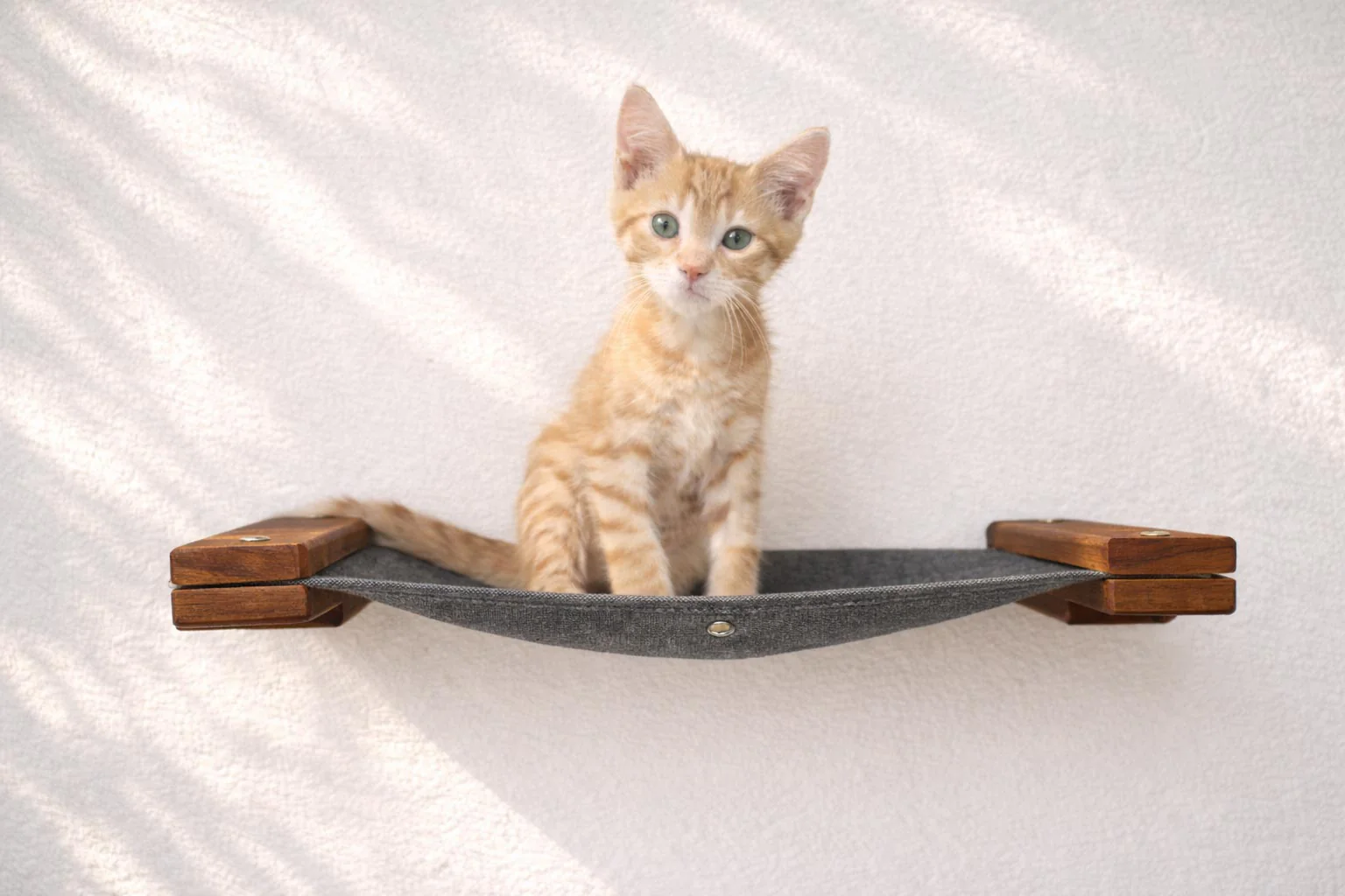 Hanging Cat Bed Hammock - Image 29