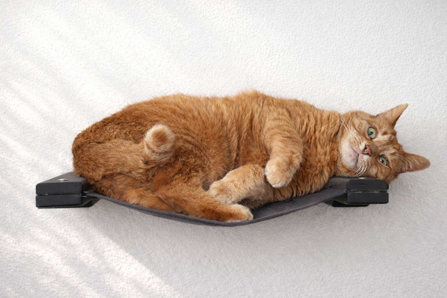 Hanging Cat Bed Hammock - Image 32