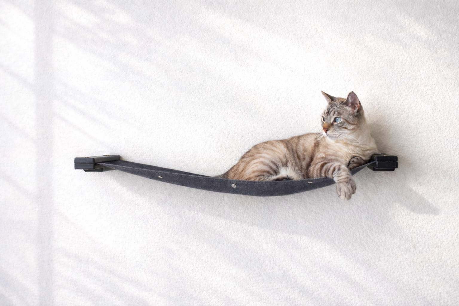 Hanging Cat Bed Hammock - Image 34