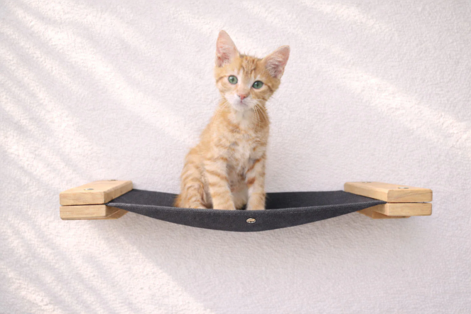 Hanging Cat Bed Hammock - Image 35