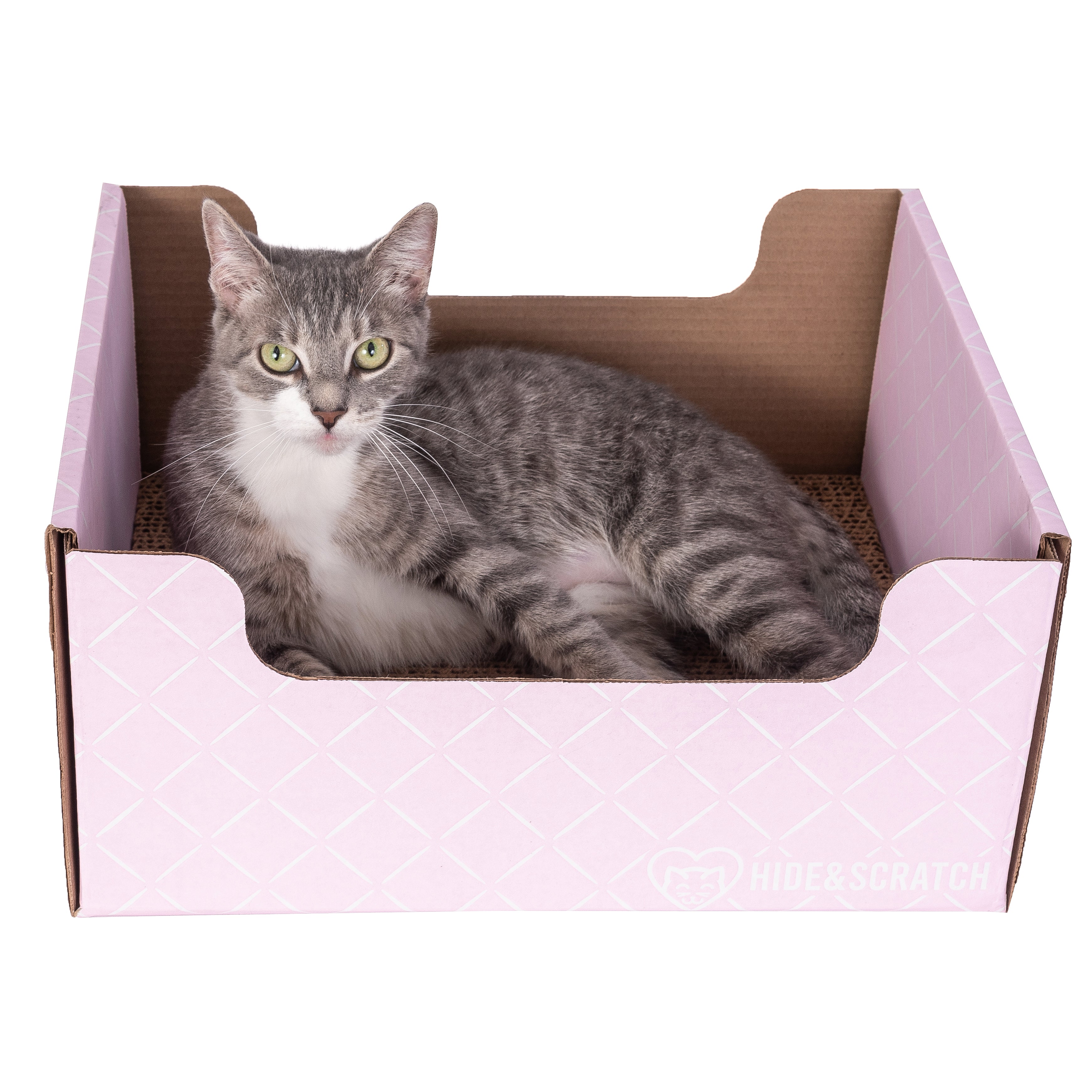 Hide & Scratch Extra-Large Cat Scratcher Box - Image 10