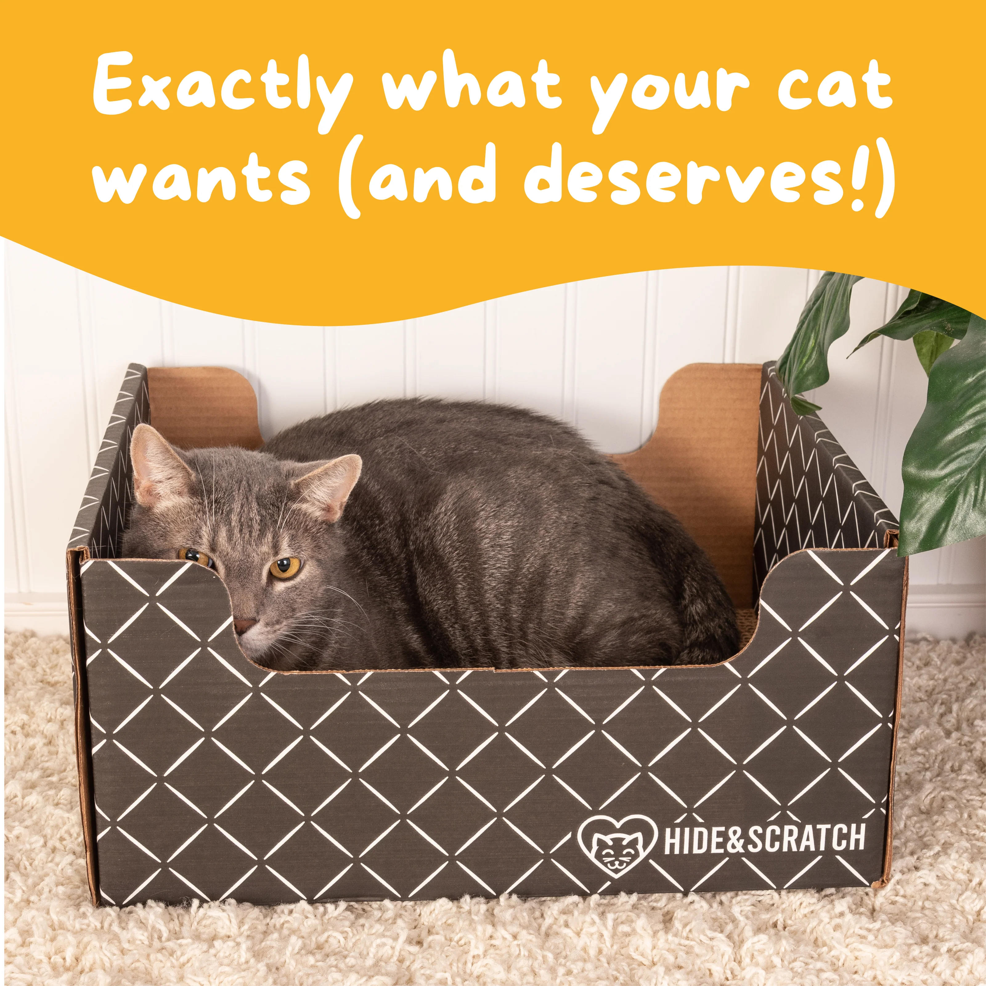 Hide & Scratch Extra-Large Cat Scratcher Box - Image 17