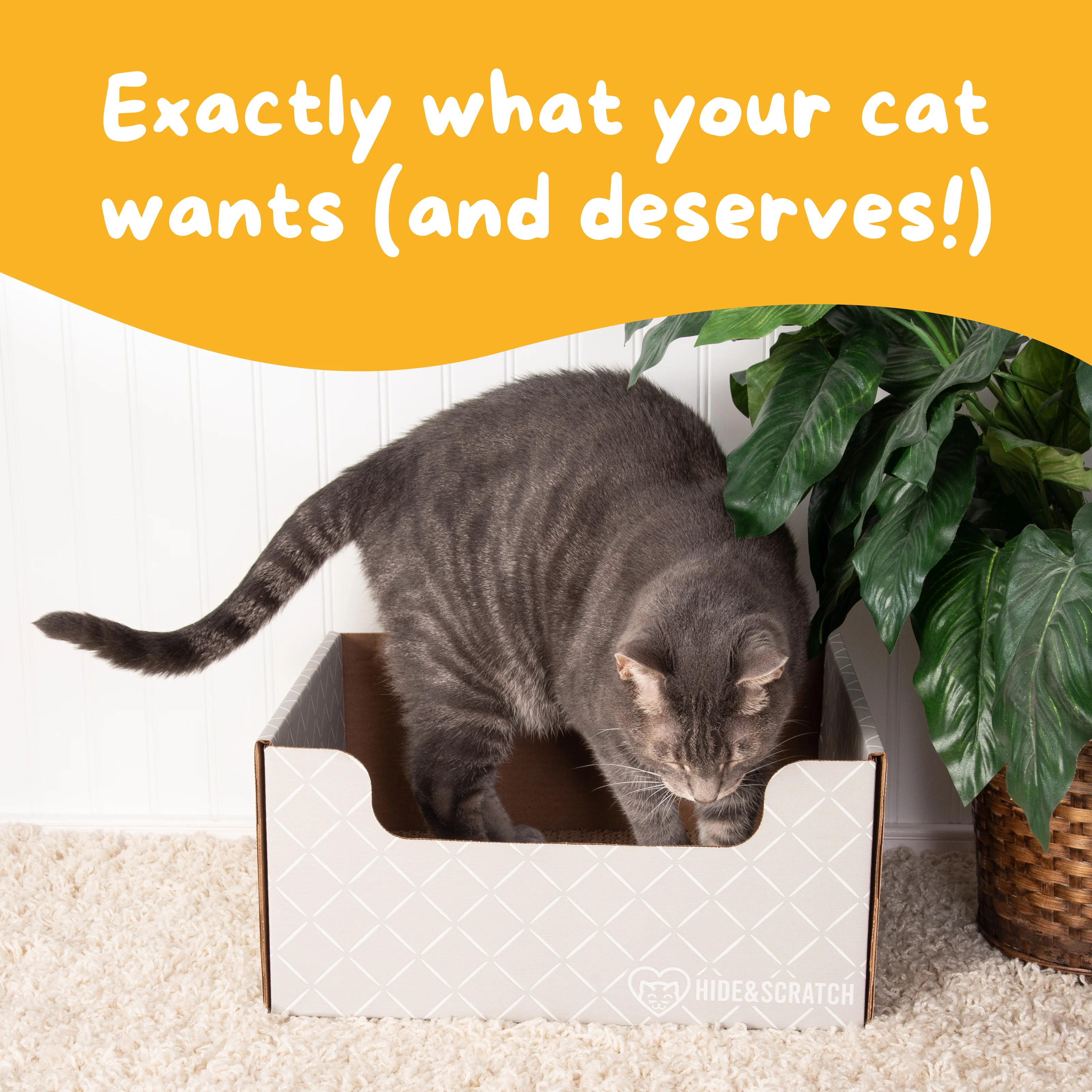Hide & Scratch Extra-Large Cat Scratcher Box - Image 32