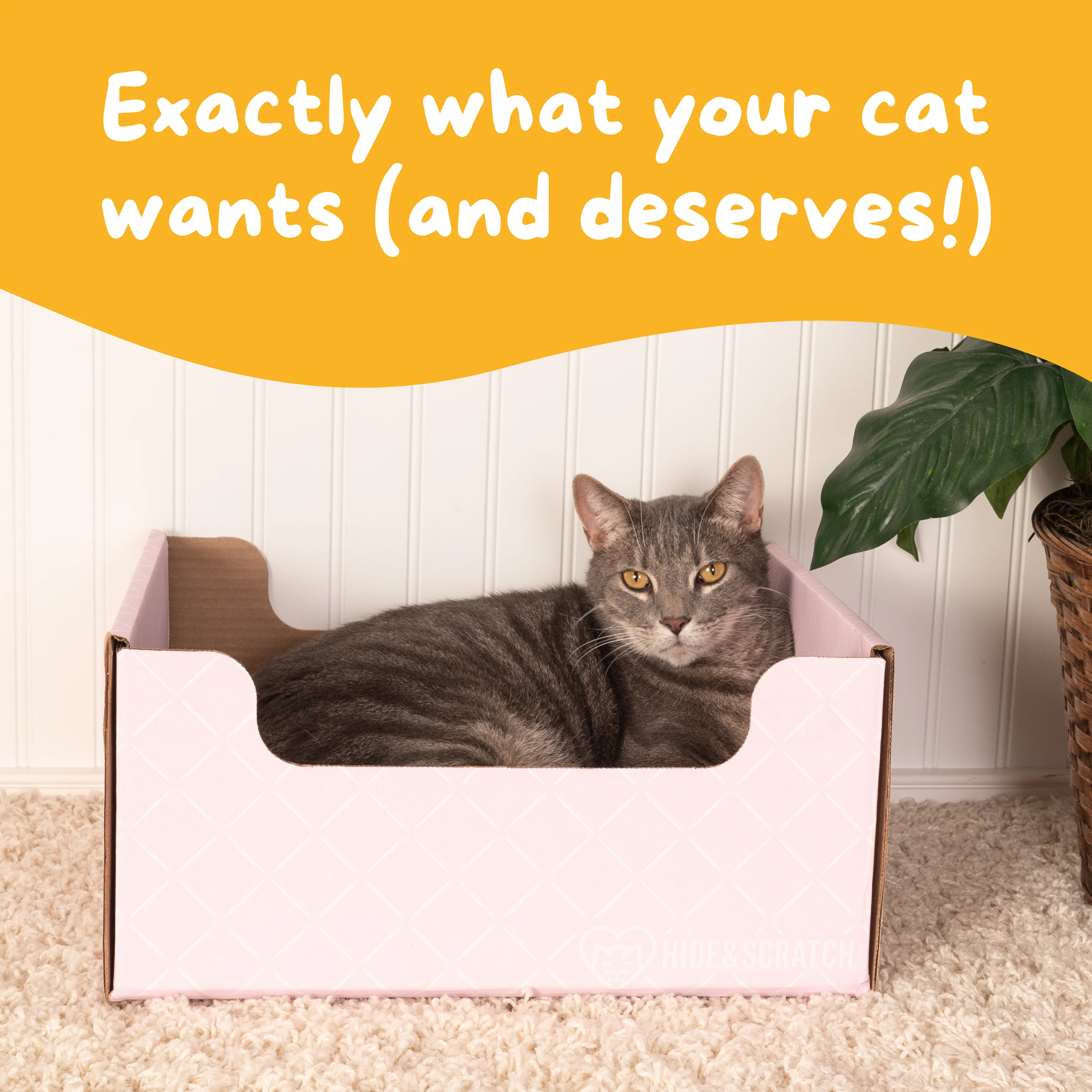 Hide & Scratch Extra-Large Cat Scratcher Box - Image 34