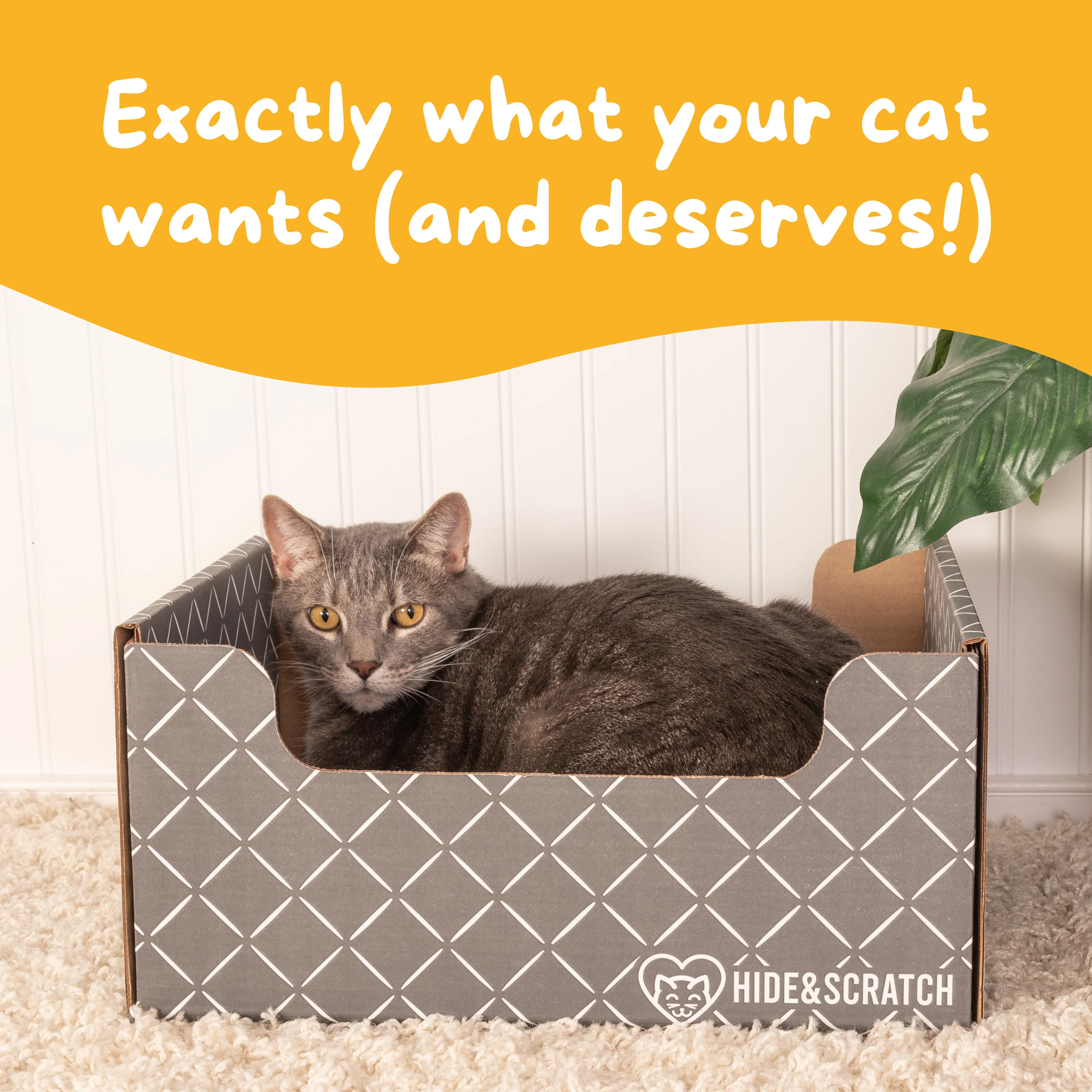 Hide & Scratch Extra-Large Cat Scratcher Box - Image 46