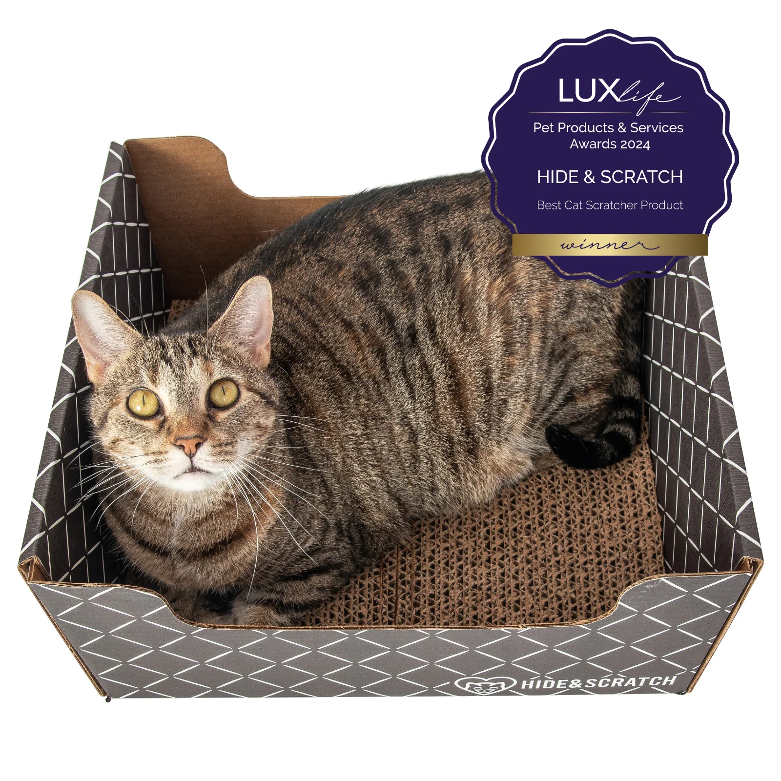 Hide & Scratch Extra-Large Cat Scratcher Box - Image 47