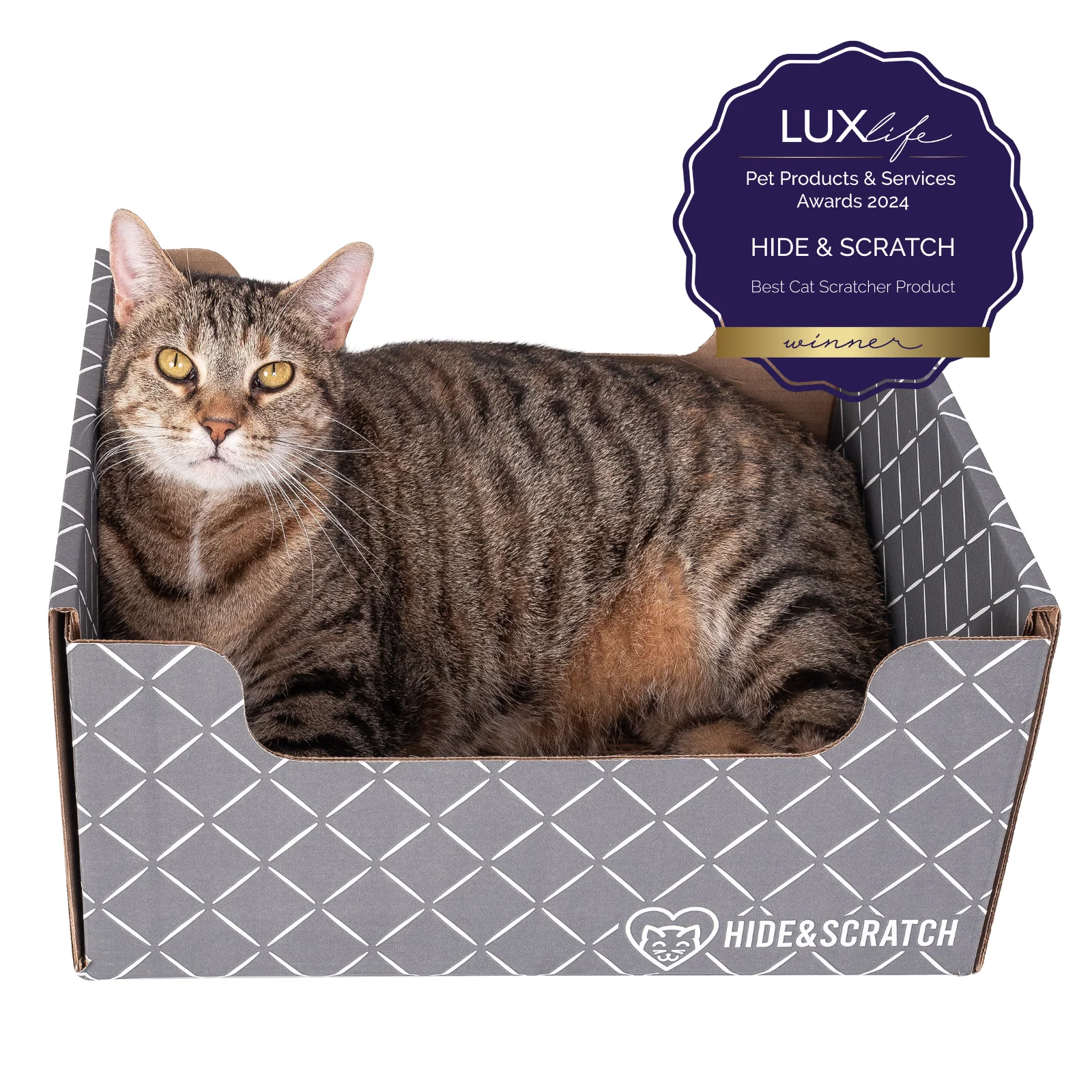 Hide & Scratch Extra-Large Cat Scratcher Box - Image 48