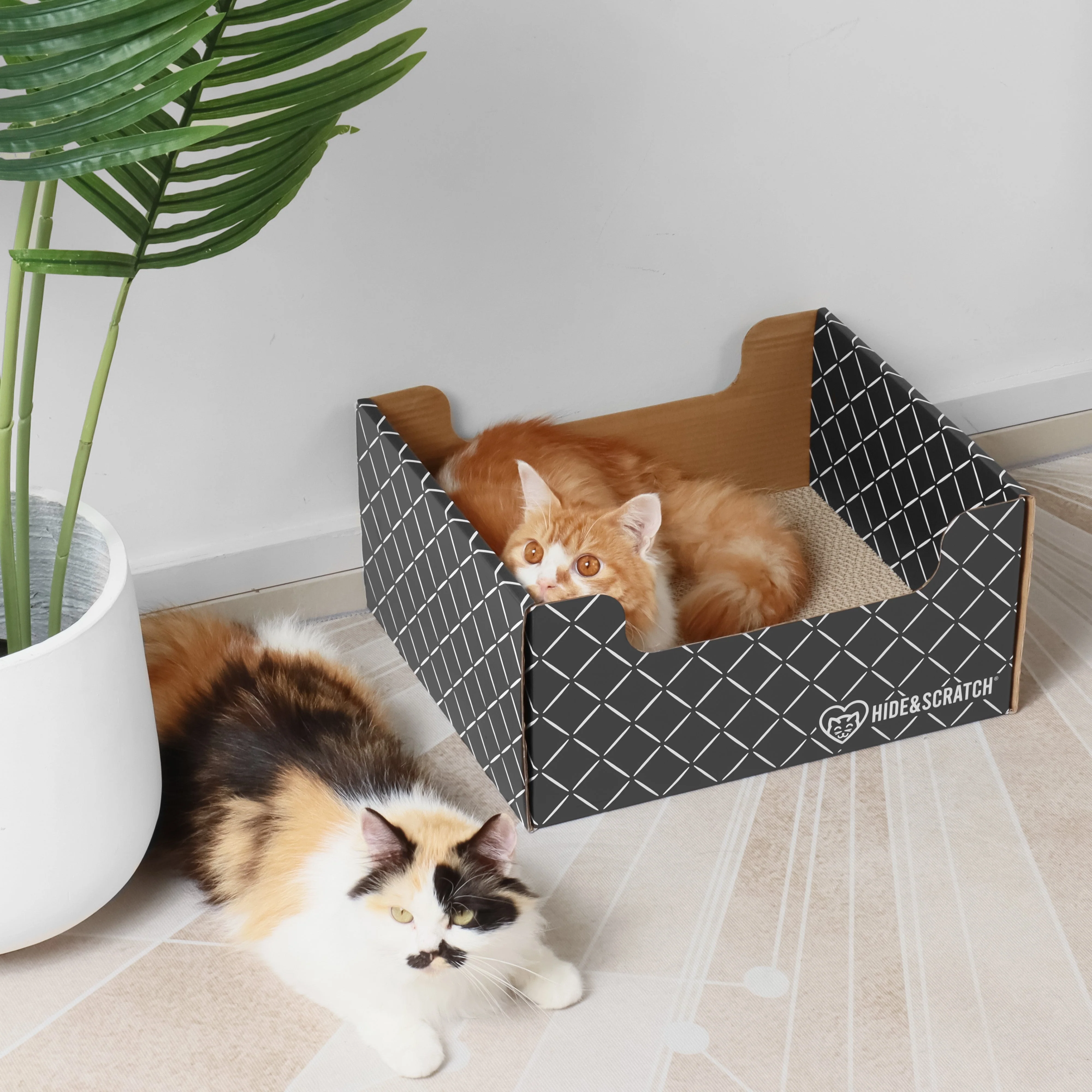 Hide & Scratch Extra-Large Cat Scratcher Box - Image 7