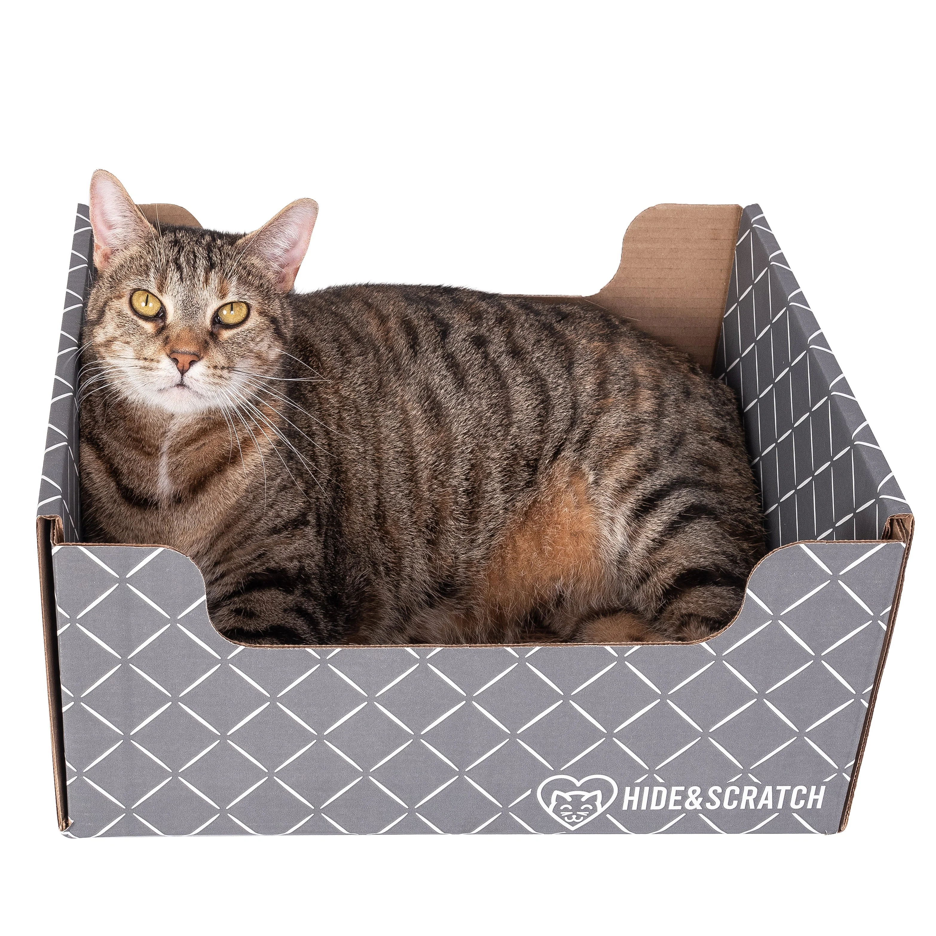 Hide & Scratch Extra-Large Cat Scratcher Box - Image 8
