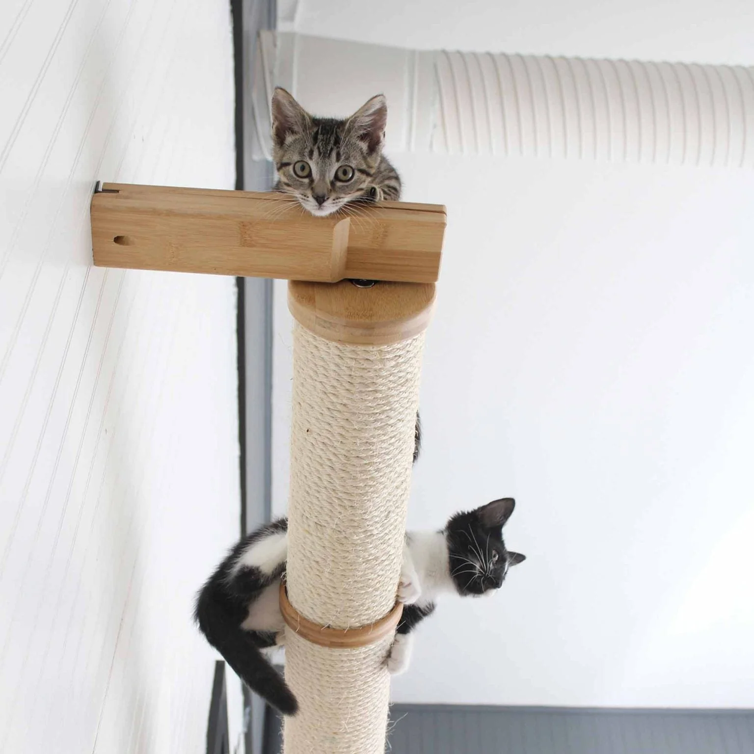 Horizontal Scratching Post for Cats - Image 16