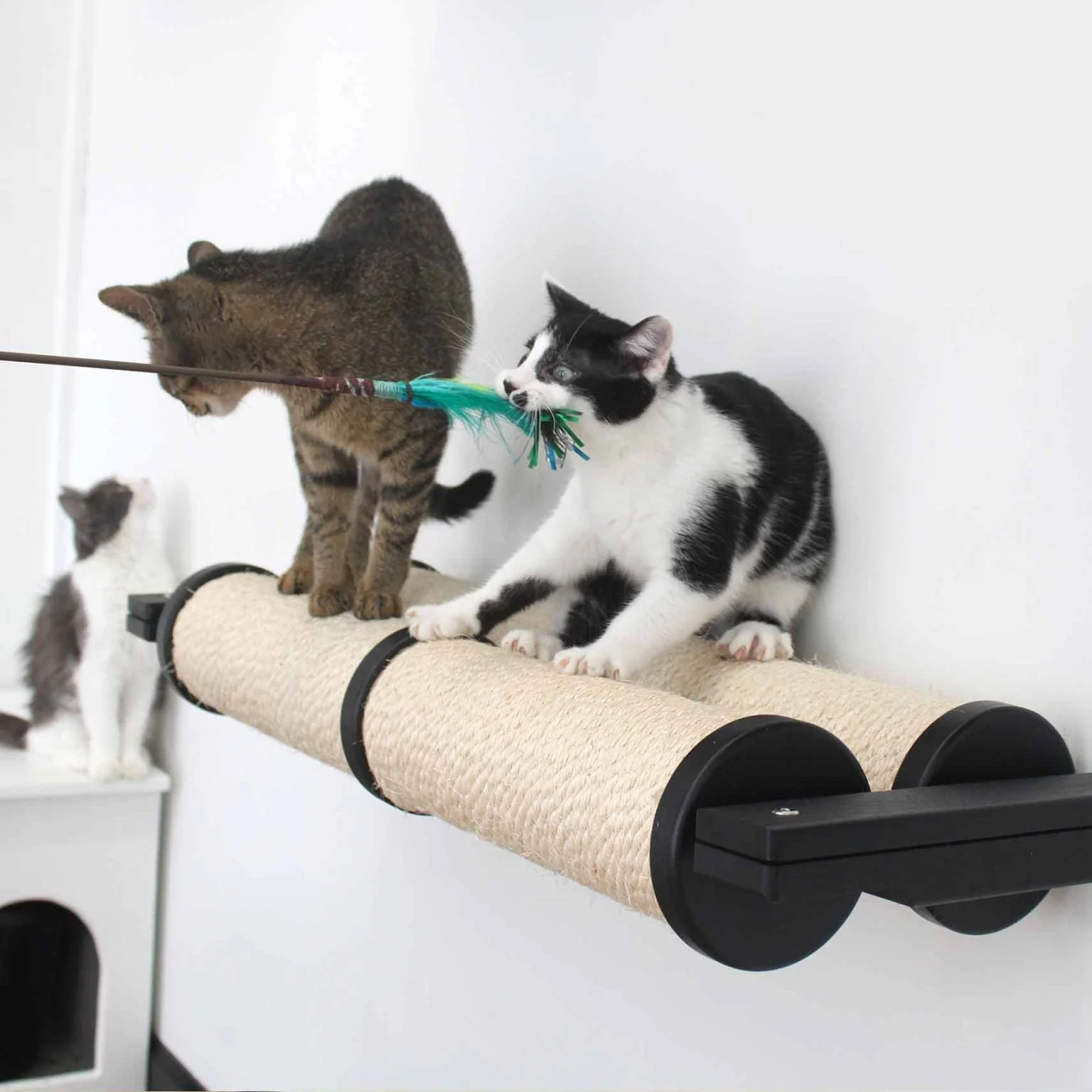 Horizontal Scratching Post for Cats - Image 2