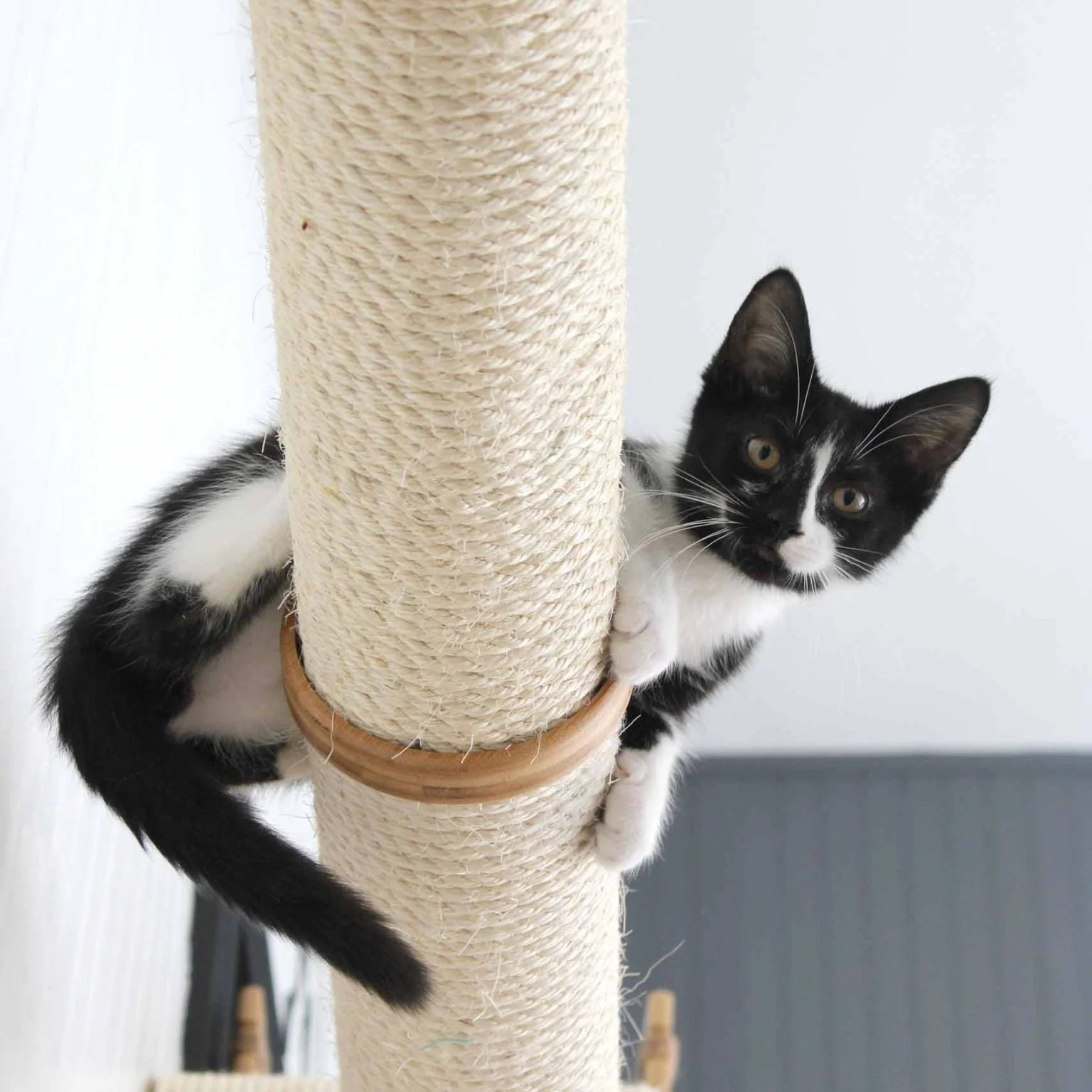 Horizontal Scratching Post for Cats - Image 22