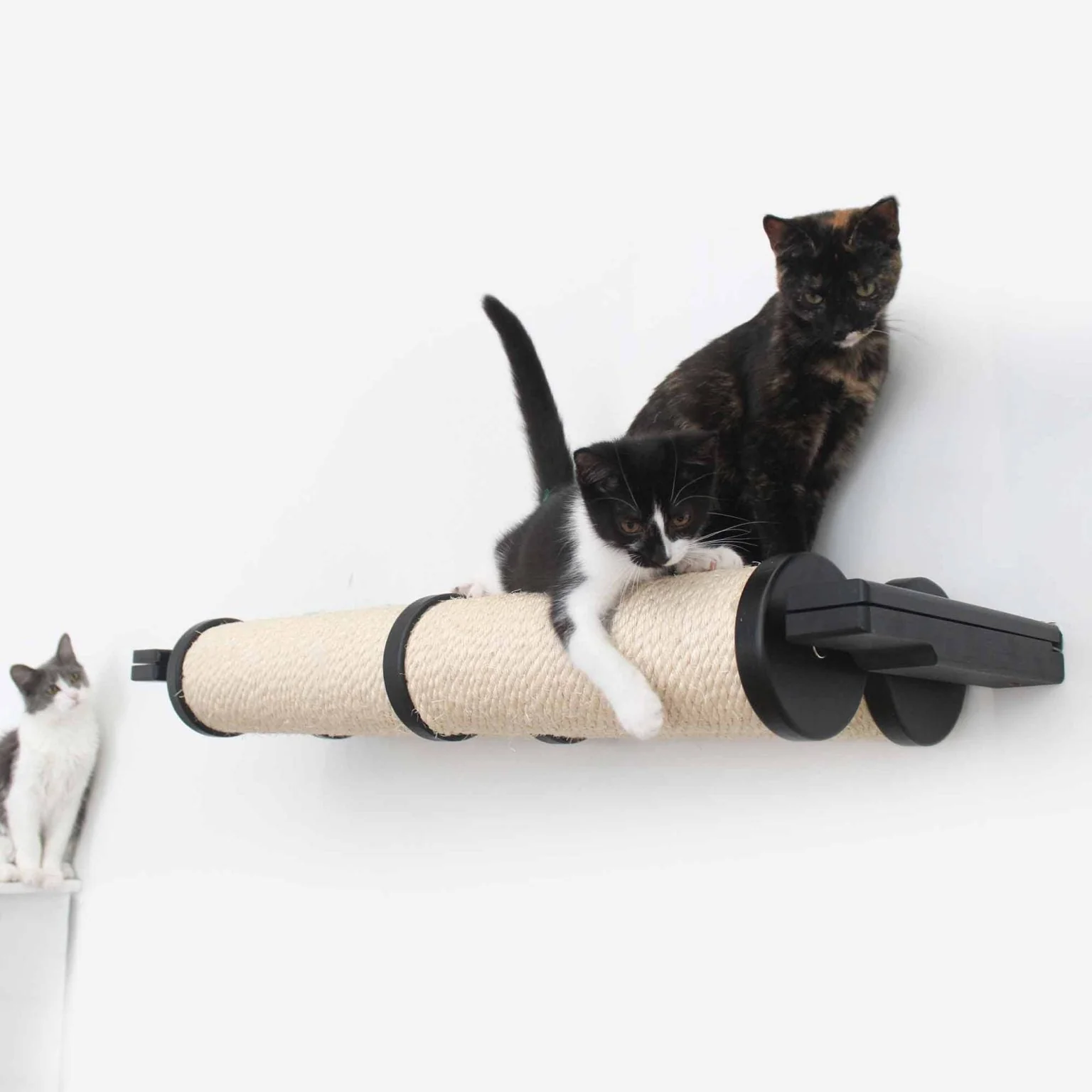 Horizontal Scratching Post for Cats - Image 23