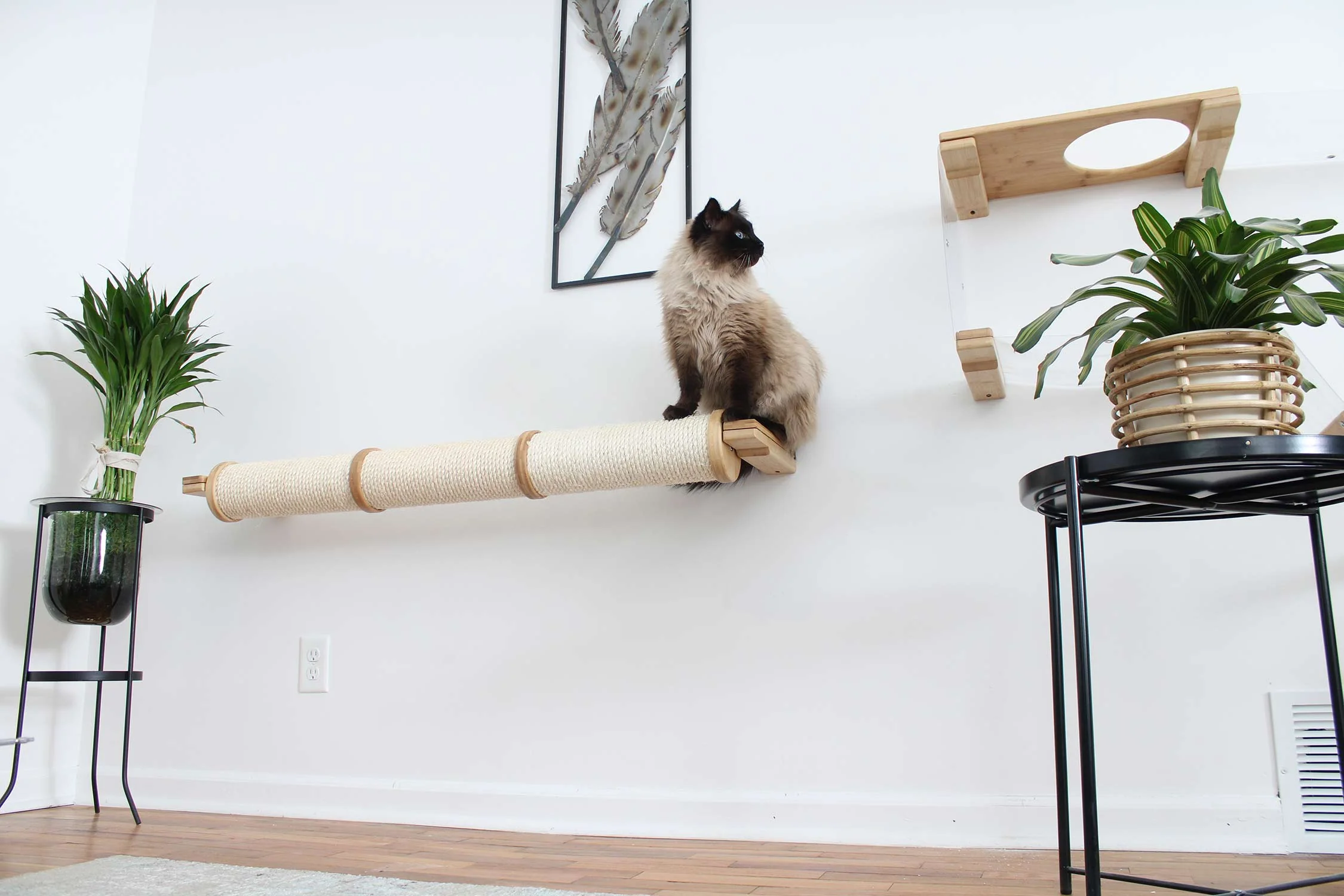 Horizontal Scratching Post for Cats - Image 6