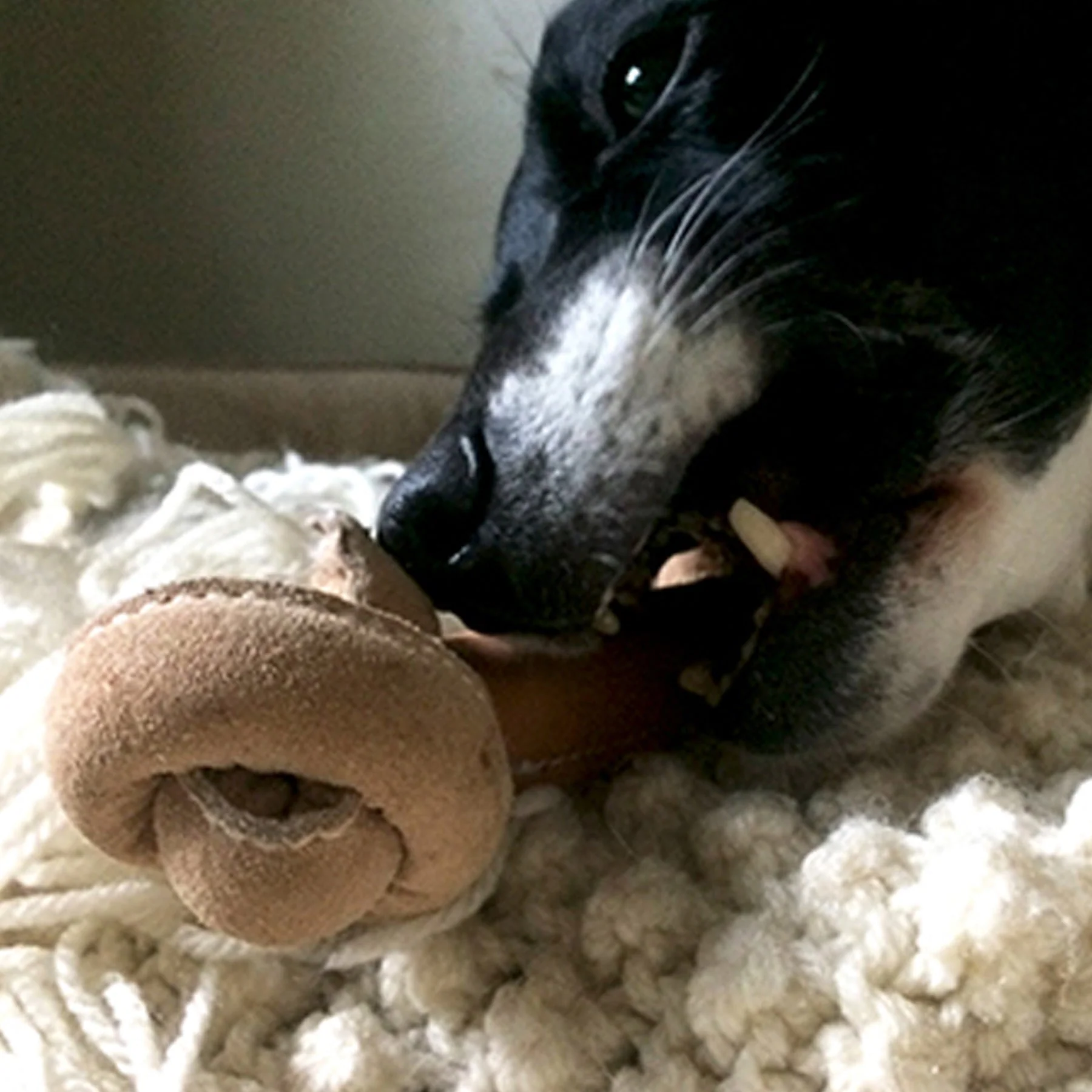 Huggle-Hide® Natural Leather Bone Dog Toy, 3 Pack - Image 6