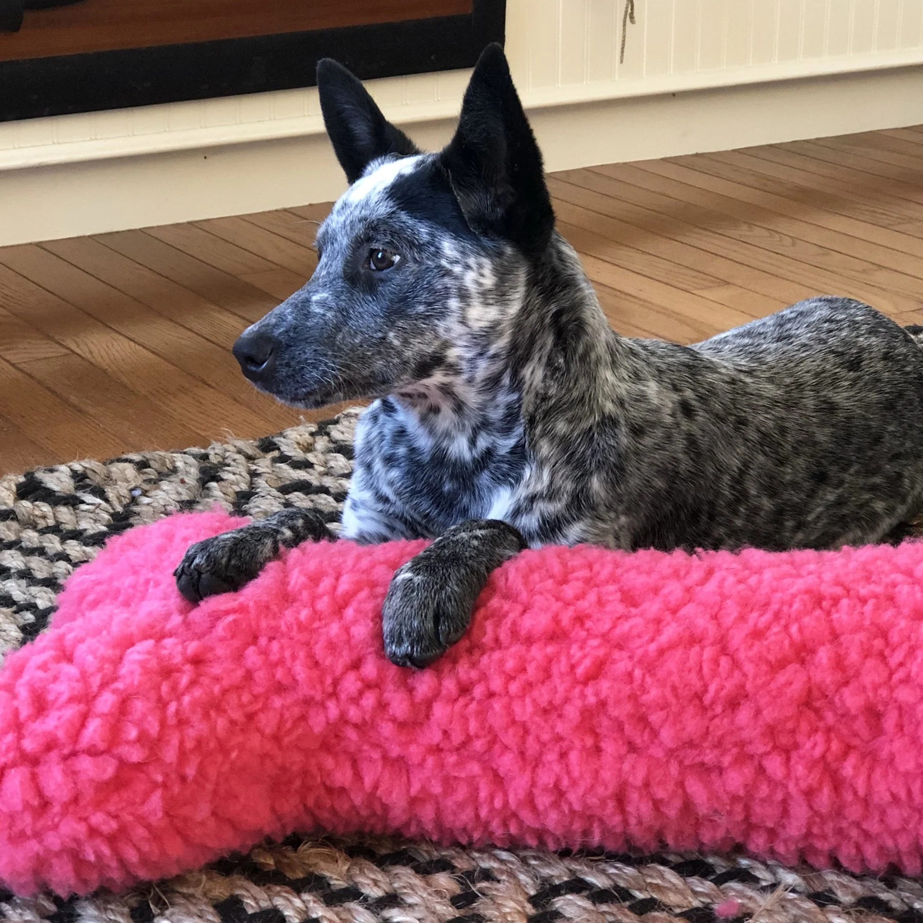HuggleCause™, Living Beyond Breast Cancer, HuggleFleece® Pink Bones - Image 6