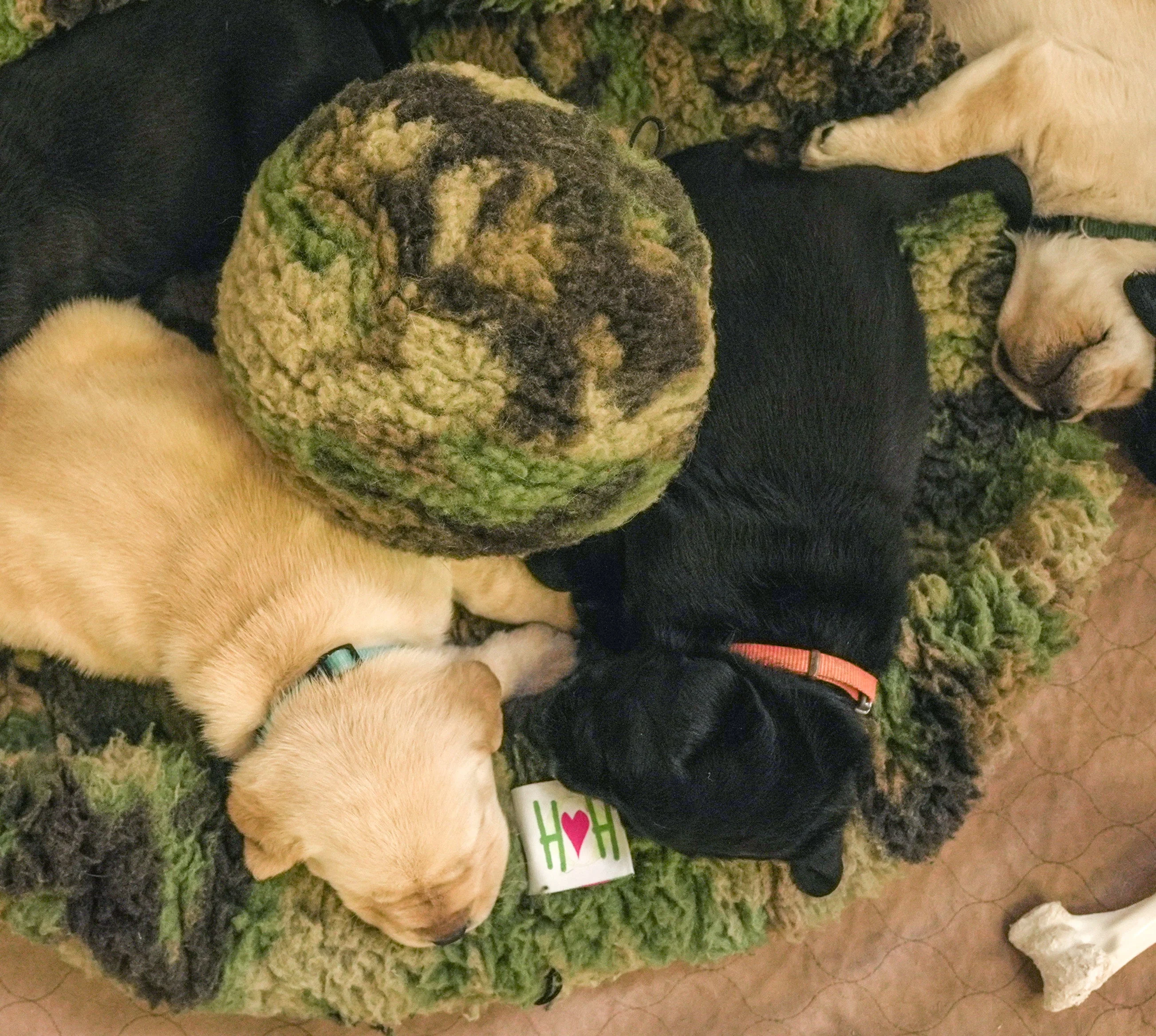 HuggleCause™, Warrior Canine Connection, Camouflage HuggleFleece® Plush Ball Dog Toy - Image 2