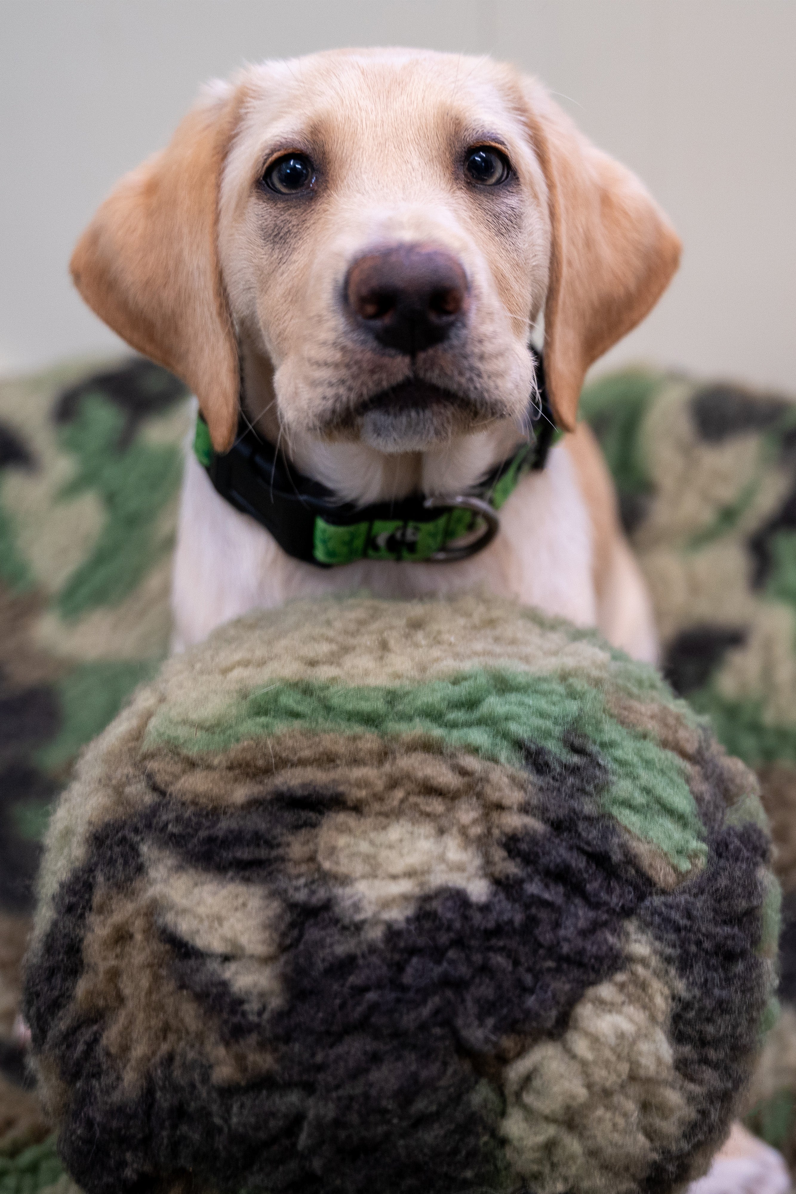 HuggleCause™, Warrior Canine Connection, Camouflage HuggleFleece® Plush Ball Dog Toy - Image 3