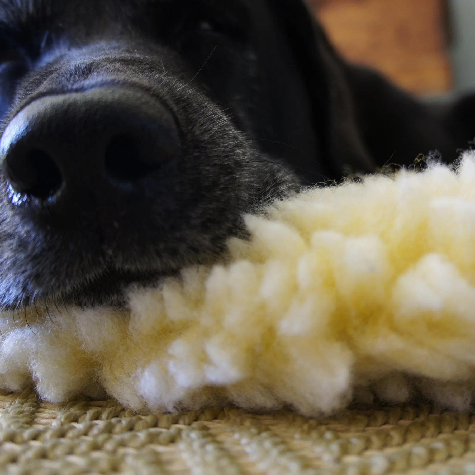 HuggleFleece® Mat Cat & Dog Bed - Image 11