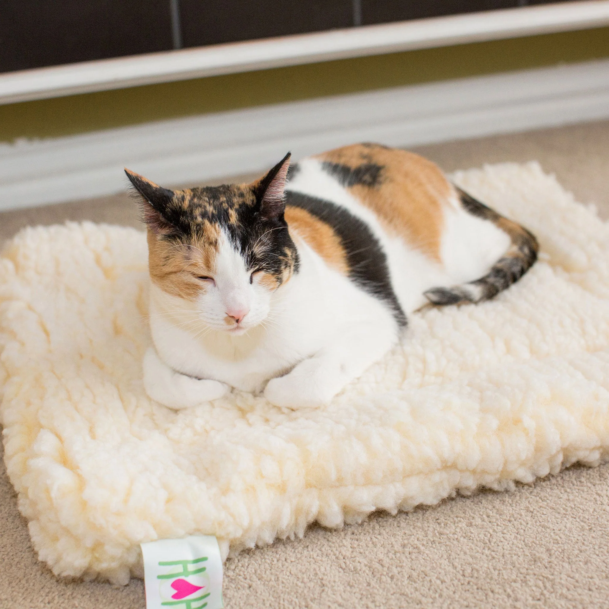 HuggleFleece® Mat Cat & Dog Bed - Image 12