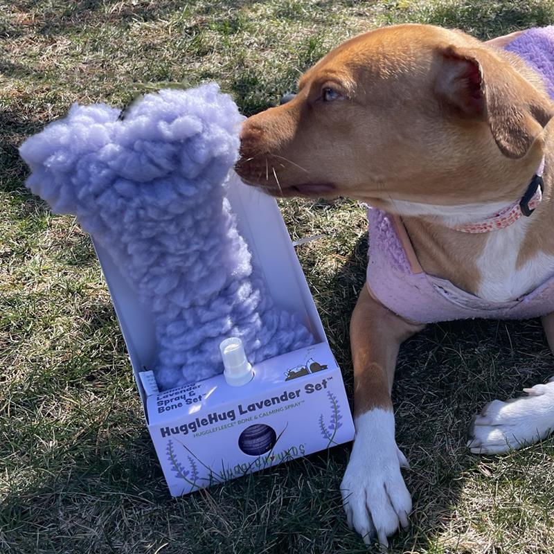 HuggleHug™ Lavender Bone & 2oz Calming Spray Dog Toy Set - Image 8