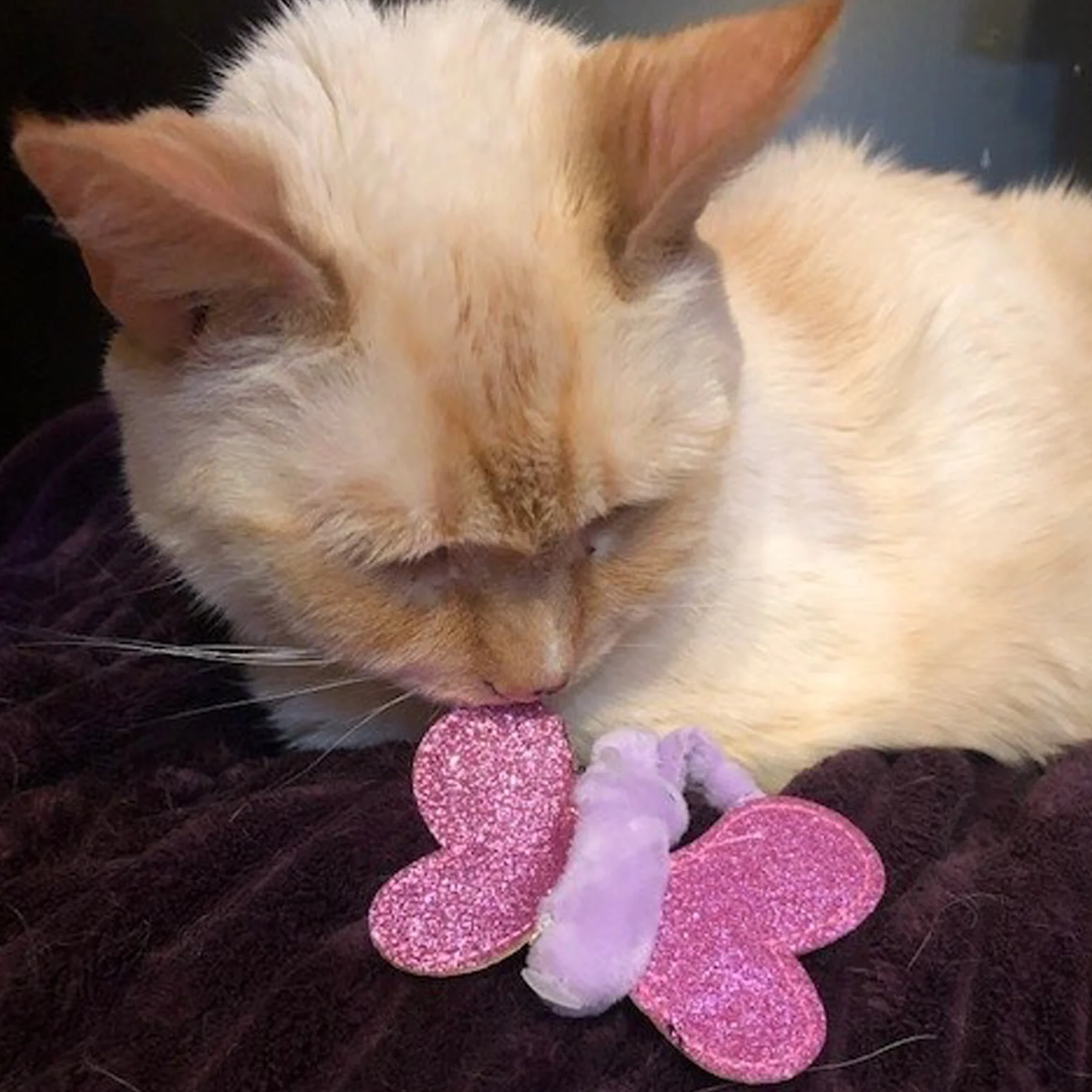 HuggleKats® Bindies™ Cat Toys, 2 Pack - Image 7