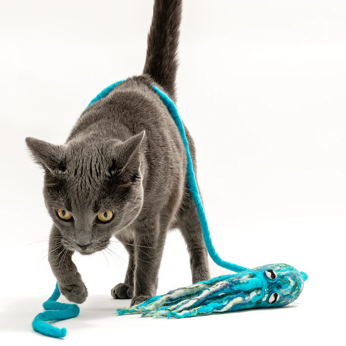 Ink Floyd - A Wool Octopus Toy for Cats - Image 11