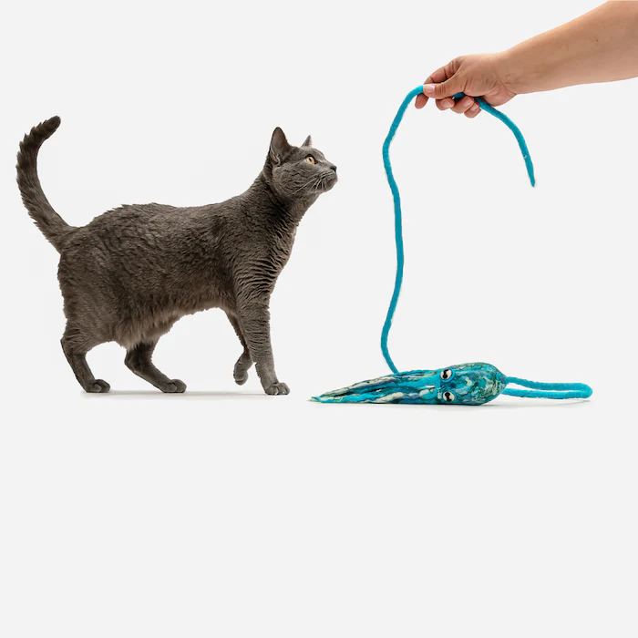 Ink Floyd - A Wool Octopus Toy for Cats - Image 13