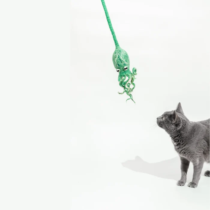 Ink Floyd - A Wool Octopus Toy for Cats - Image 14