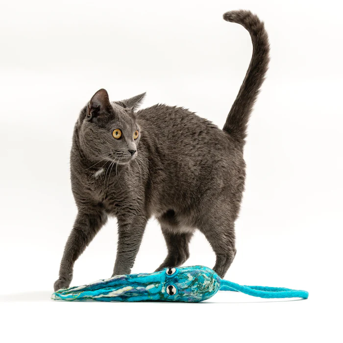 Ink Floyd - A Wool Octopus Toy for Cats - Image 15
