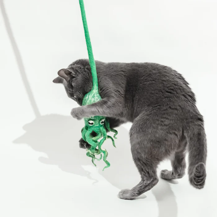 Ink Floyd - A Wool Octopus Toy for Cats - Image 17