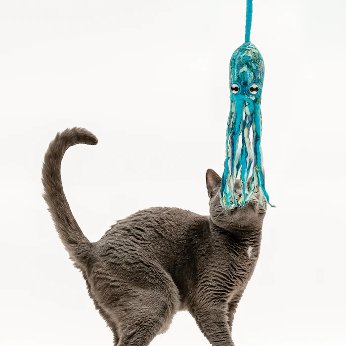 Ink Floyd - A Wool Octopus Toy for Cats - Image 5