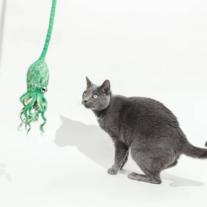 Ink Floyd - A Wool Octopus Toy for Cats - Image 6