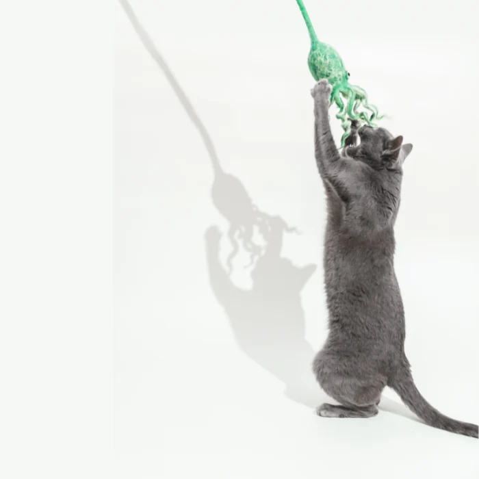 Ink Floyd - A Wool Octopus Toy for Cats - Image 8