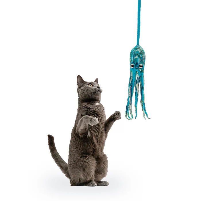 Ink Floyd - A Wool Octopus Toy for Cats - Image 9