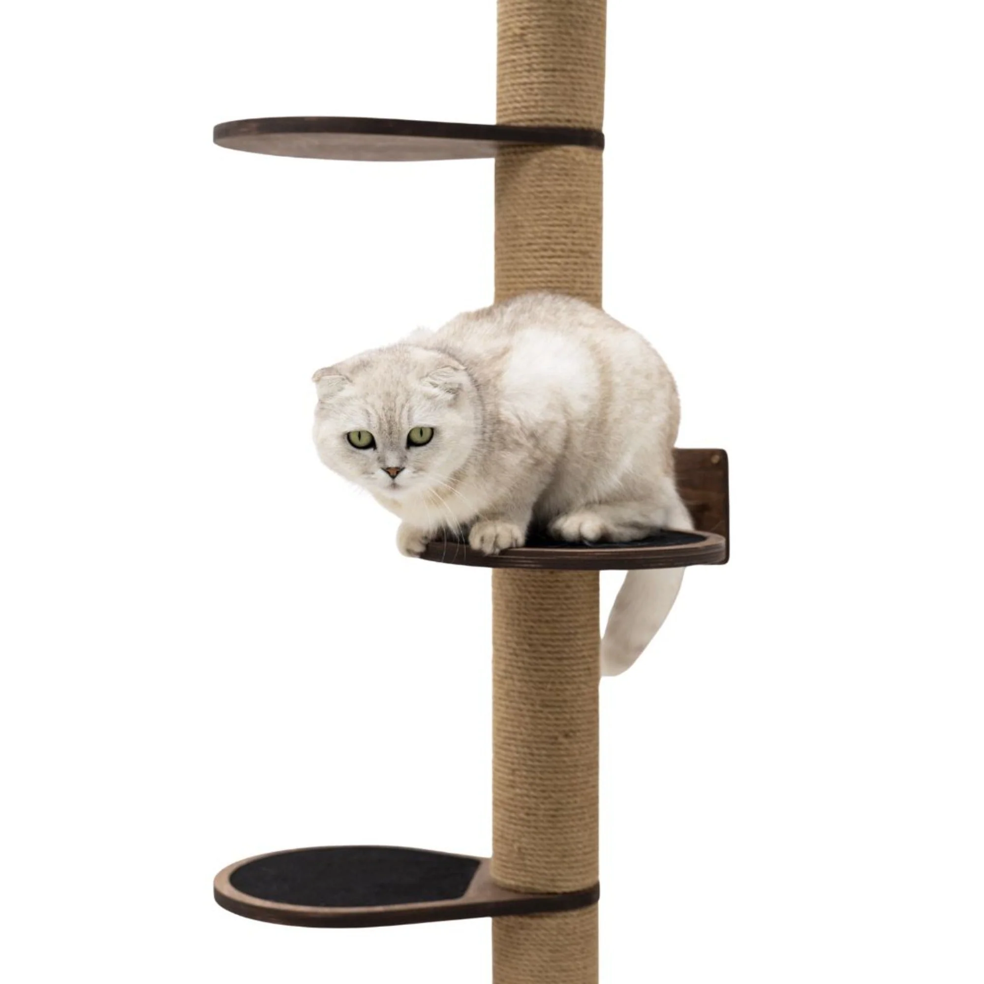 Large Cat Tree – Dark Walnut - Image 5