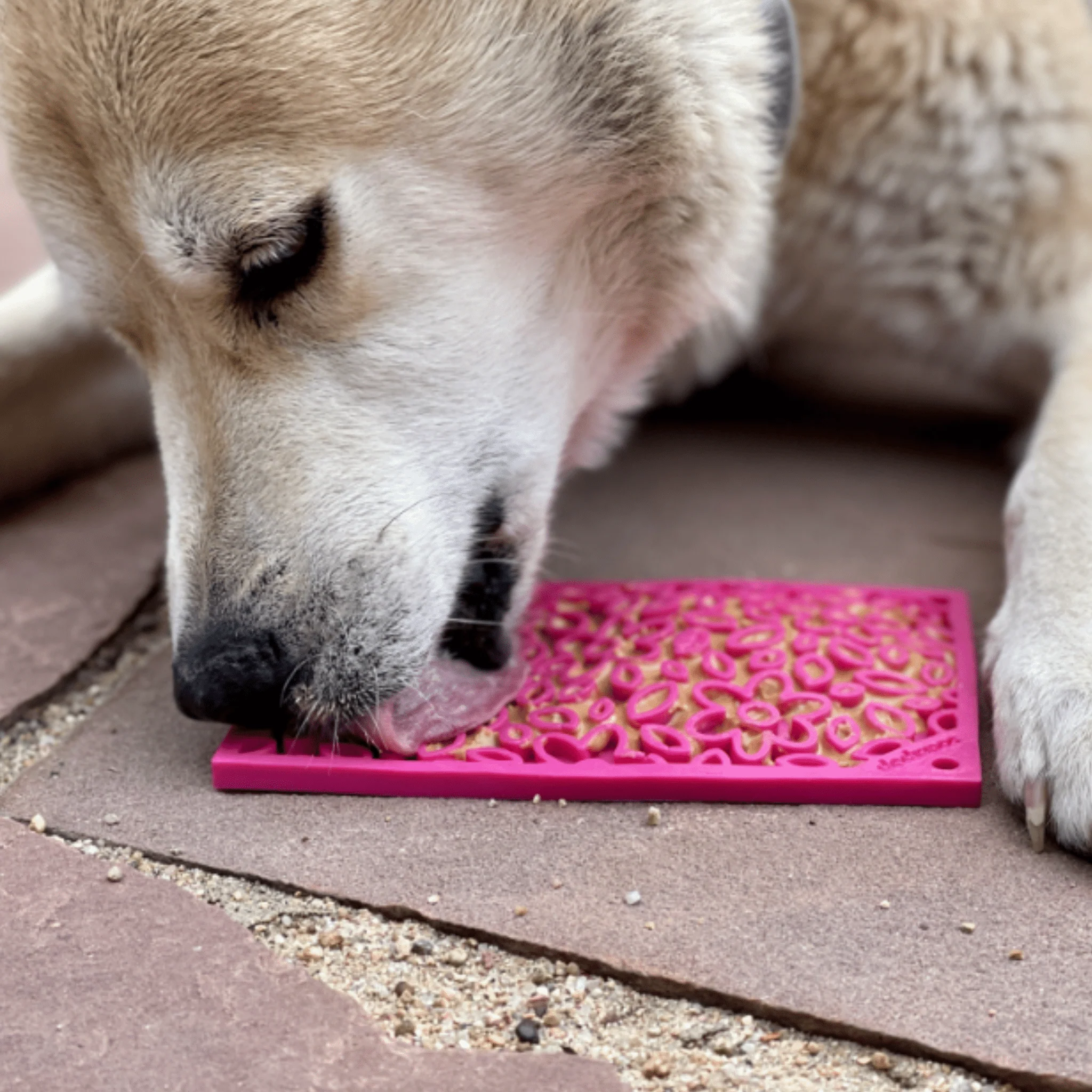 Lick Mats for Cats and Small Dogs - Image 16